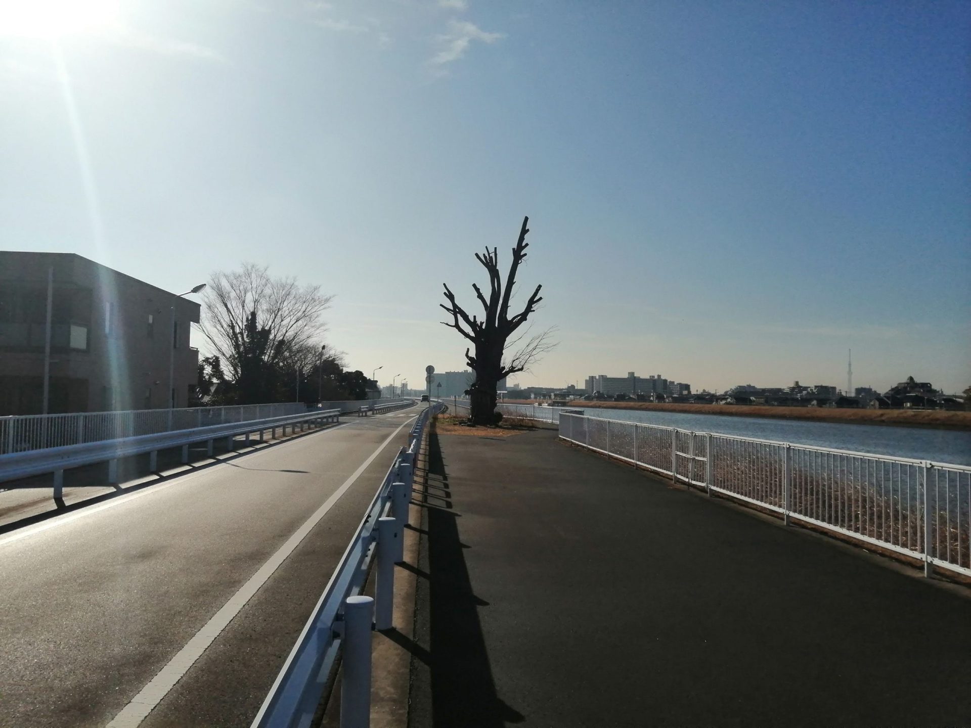 八潮から金町方面の那珂川沿い一方通行 scaled