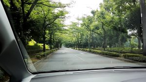 埼玉県営和光樹林公園・東京都立大泉中央公園周辺