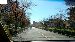 足立区・大谷田陸橋付近の桜並木が紅葉中