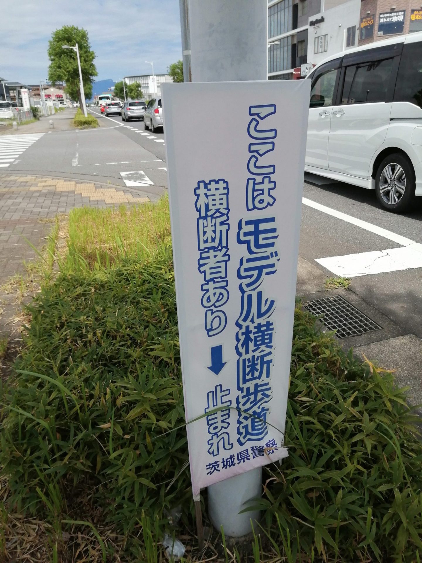 モデル横断歩道 scaled