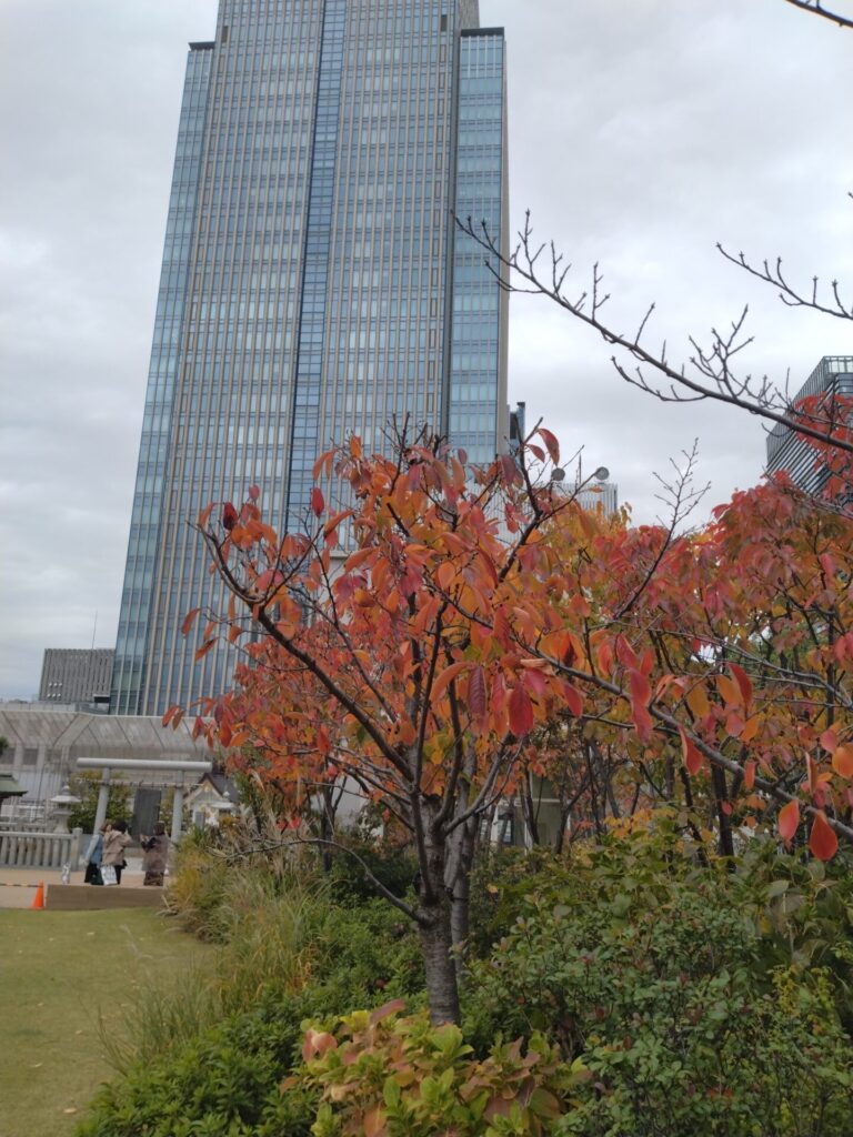 紅葉とビルの対比が印象的