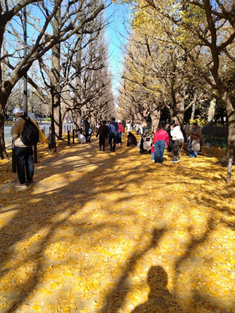 観光客が集まりすぎるほど人気の撮影スポット