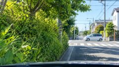 paper driver traffic safety blind spot 20260927