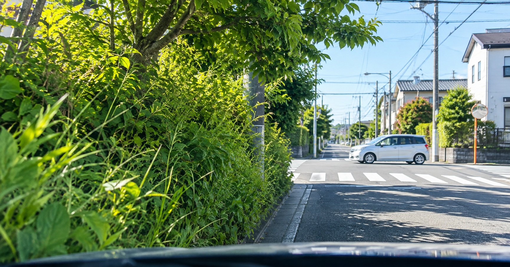 街路樹や雑草で死角ができる道路の安全確認