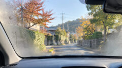 paper driver autumn windshield fog 20261013