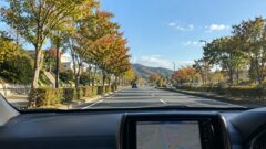 paper driver holiday route planning 20261009