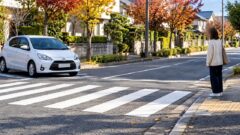 paper driver unsignalized crosswalk autumn 20261023