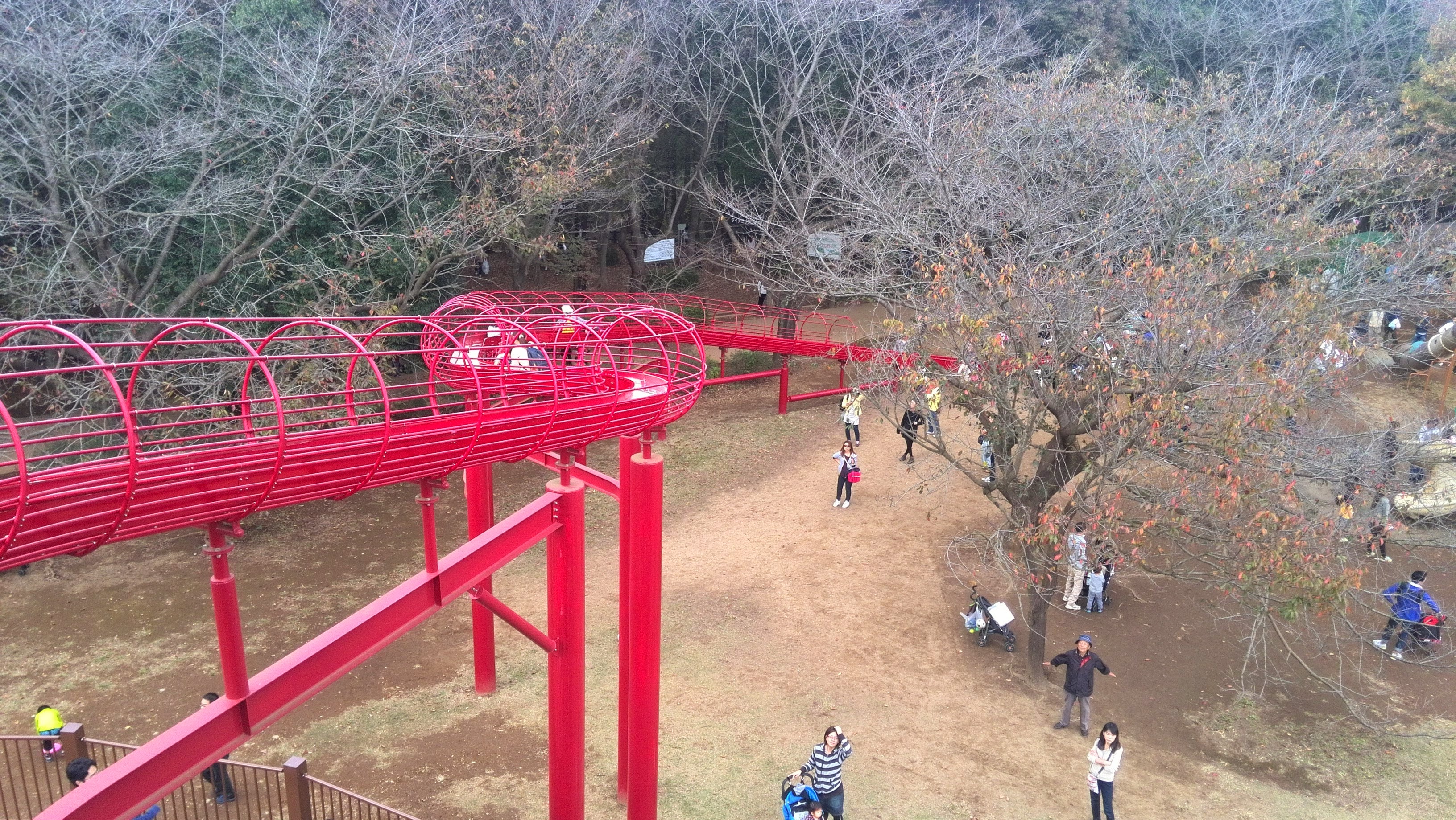 高所からの公園景観