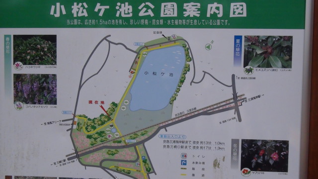 小松ヶ池公園