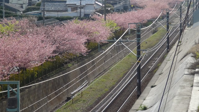 春の鉄道景色