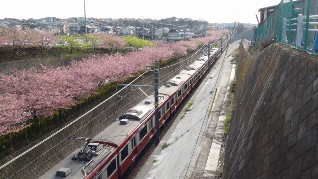 季節の鉄道写真