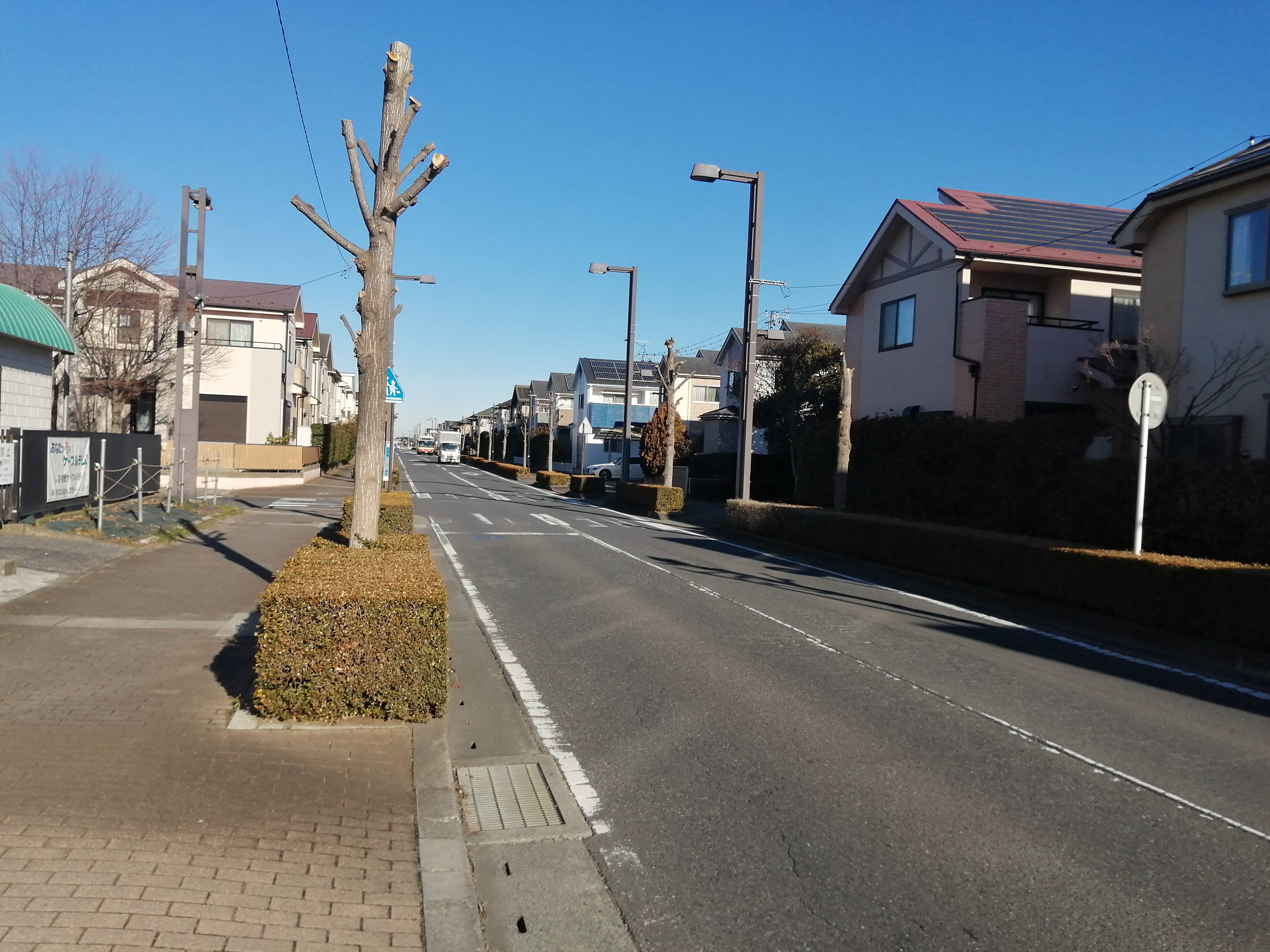 吉川市役所周辺道路.jpg