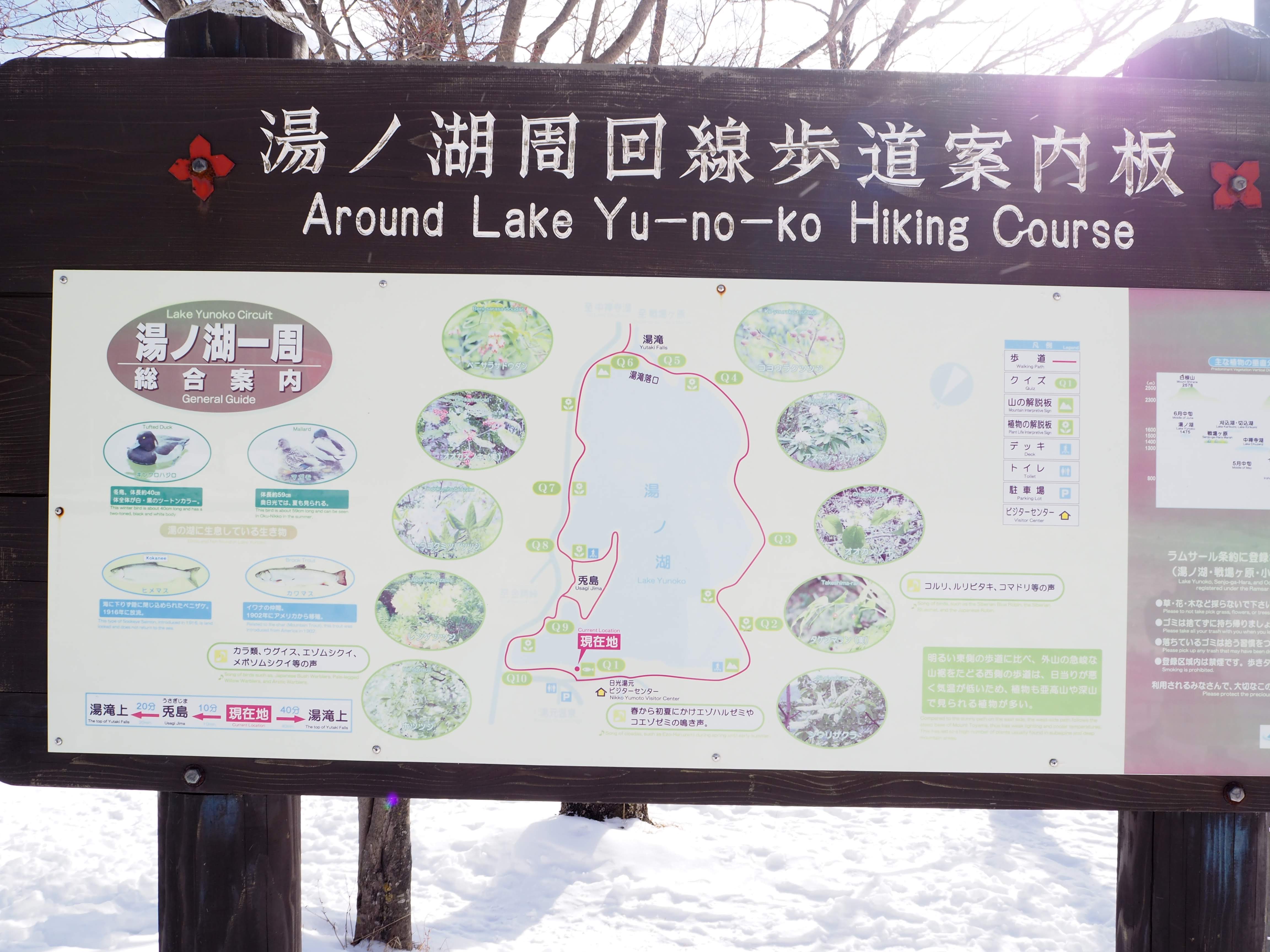 湖畔コース案内