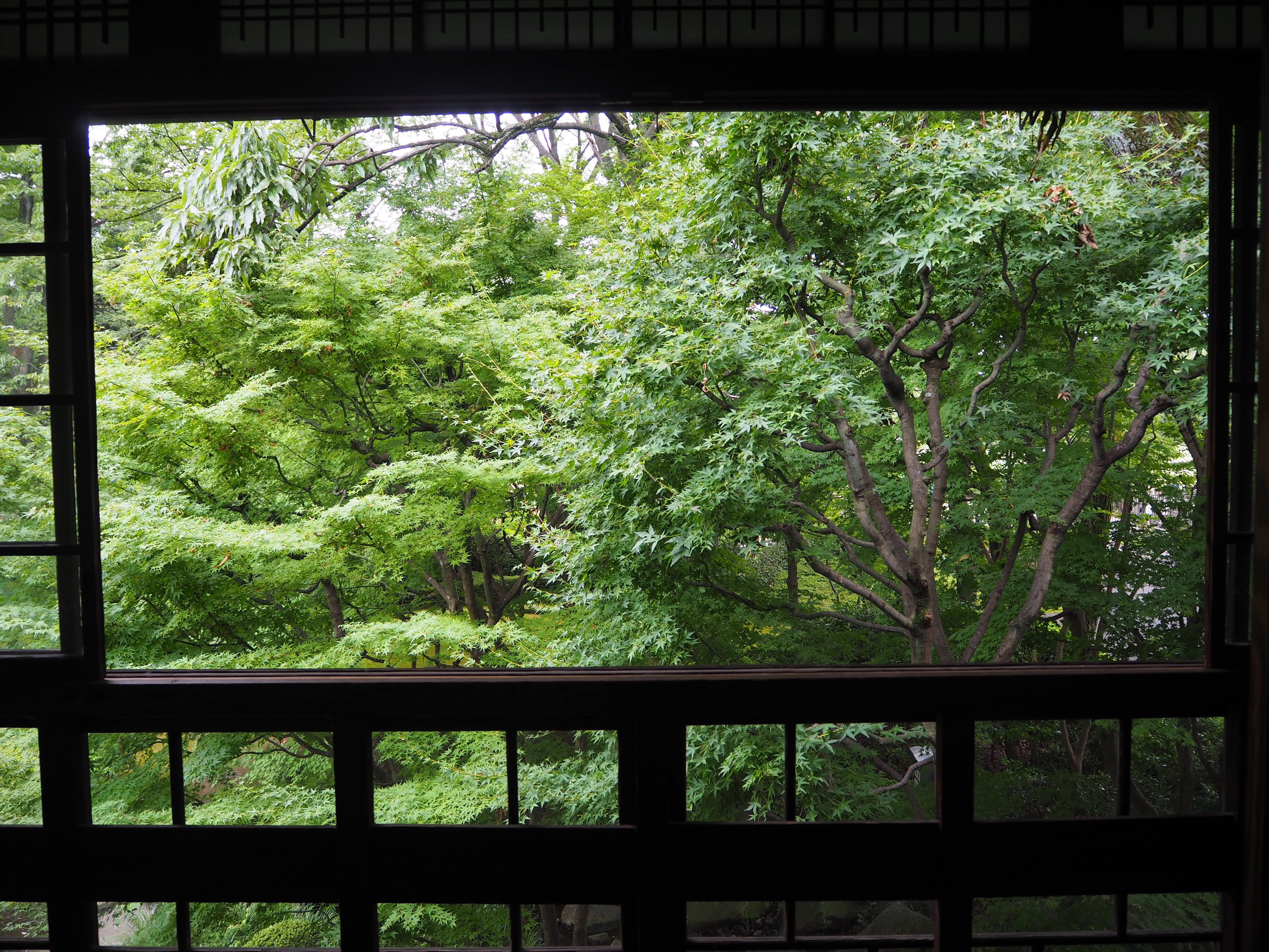 建物内からの眺め