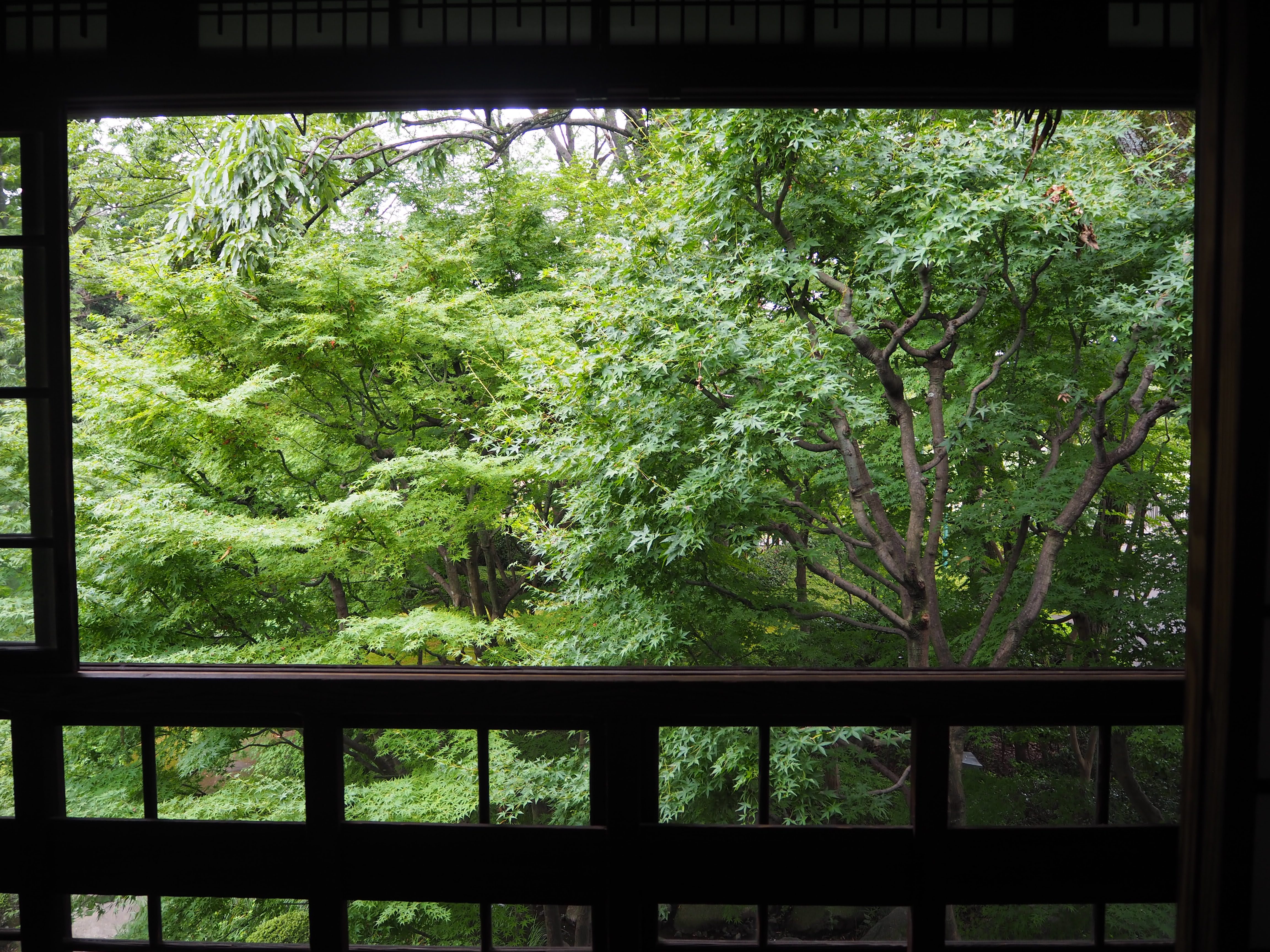 室内と自然の対比