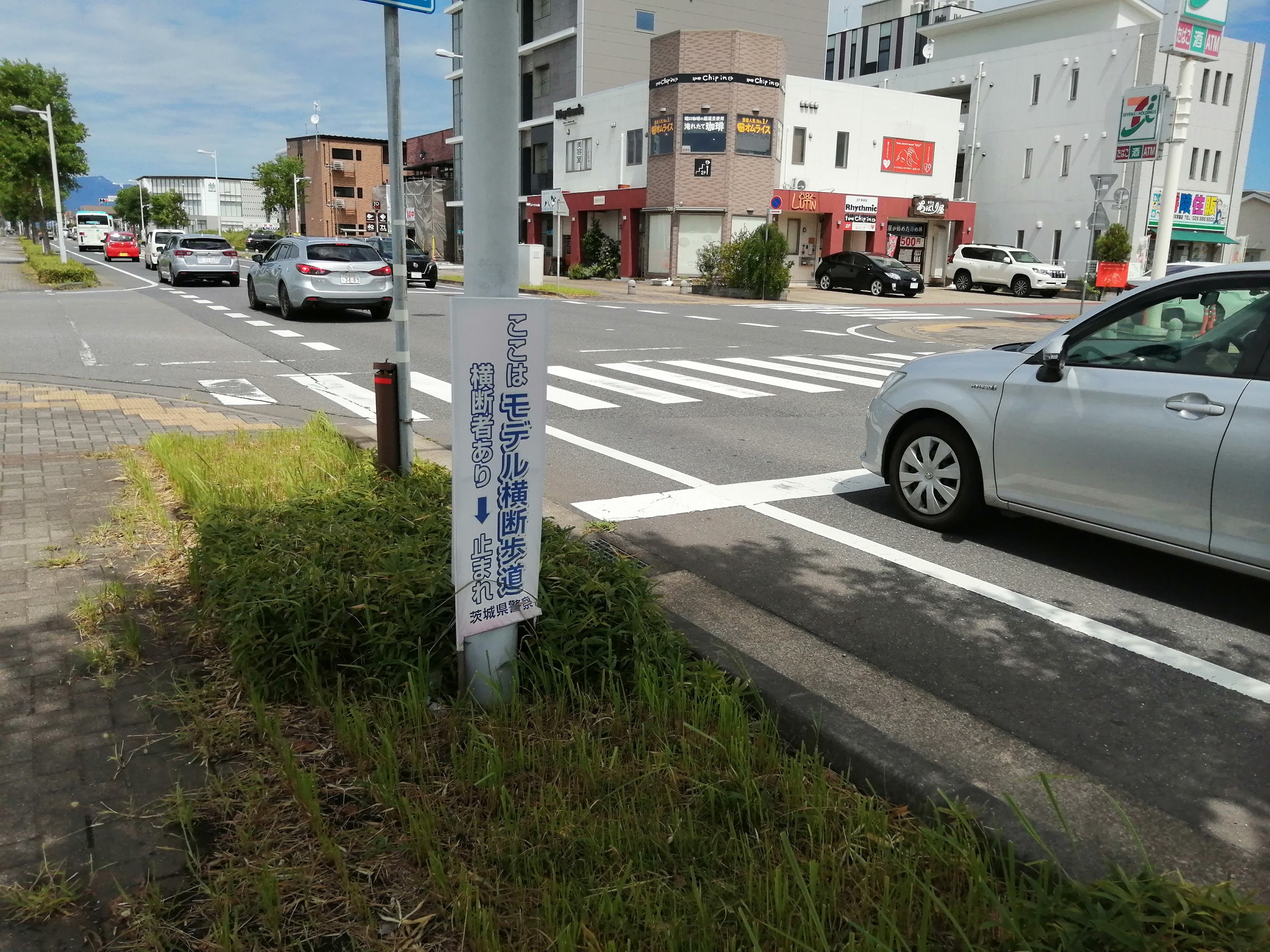 モデル横断歩道らしいです.jpg