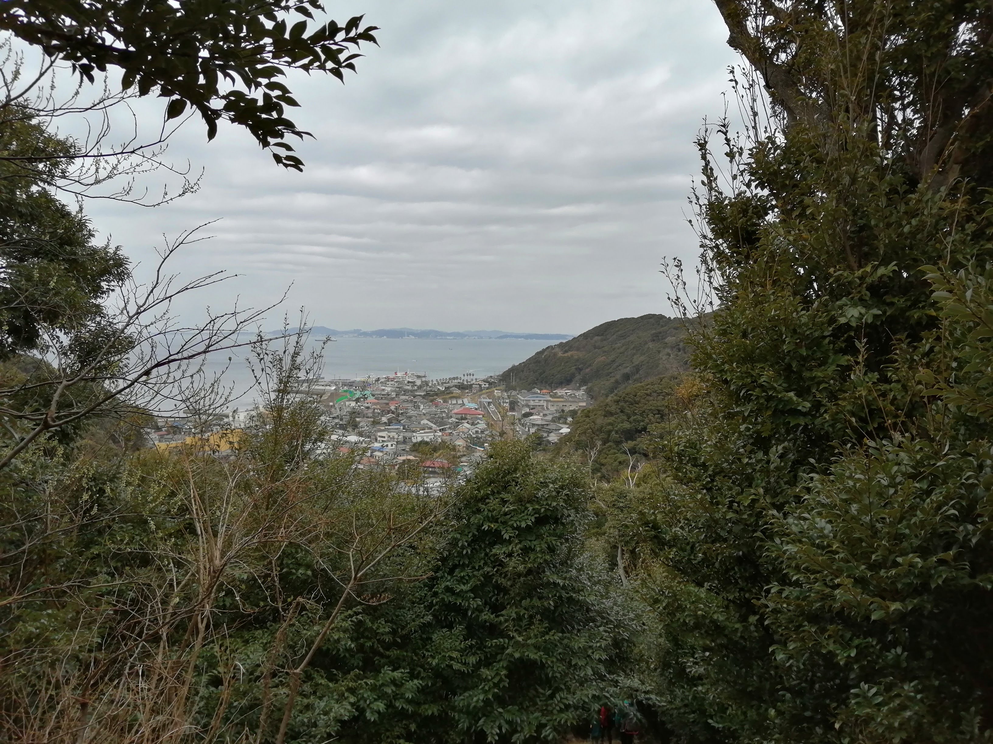 木々の間から見る景色