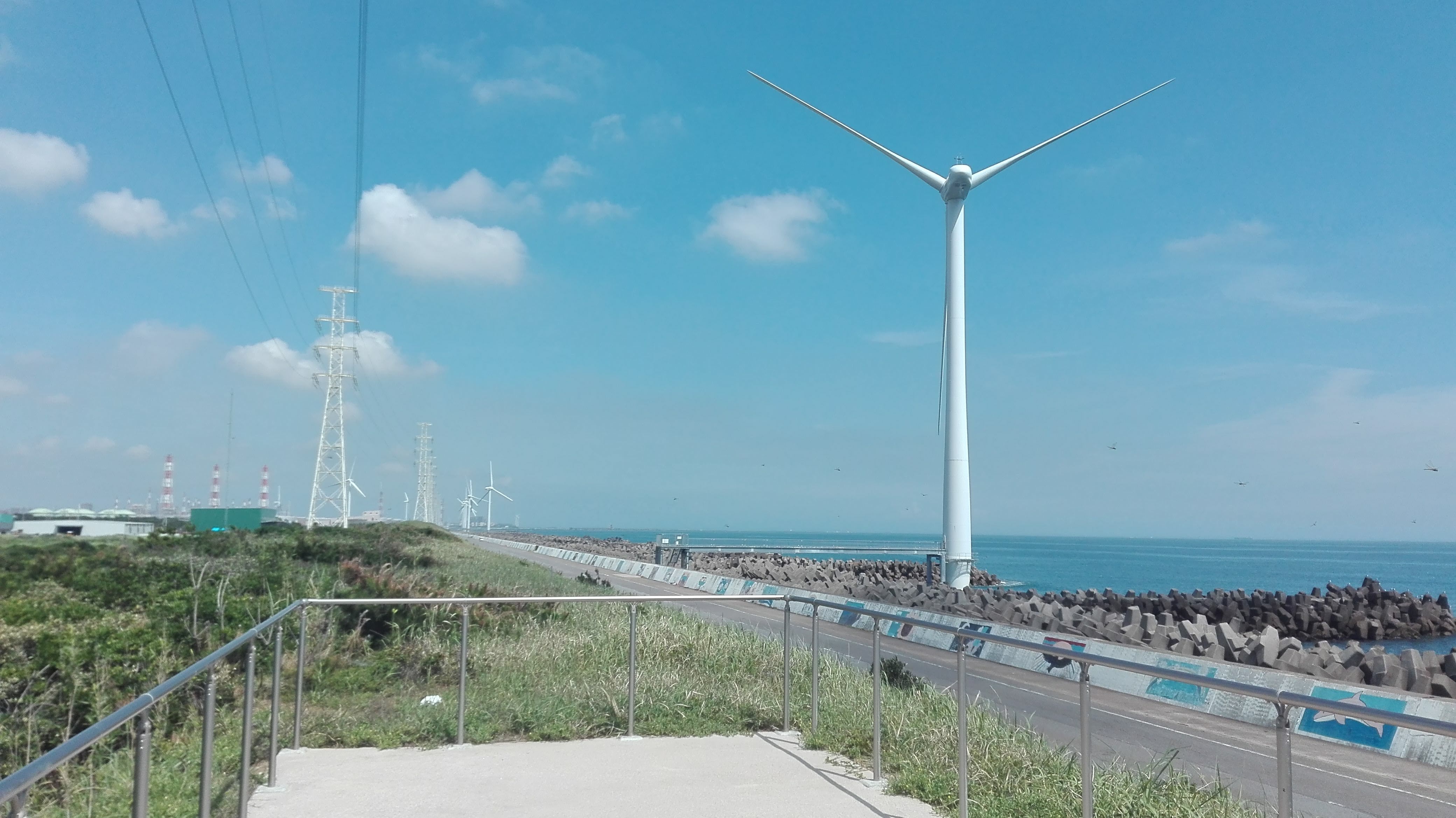 海岸道路と風車が見える風景
