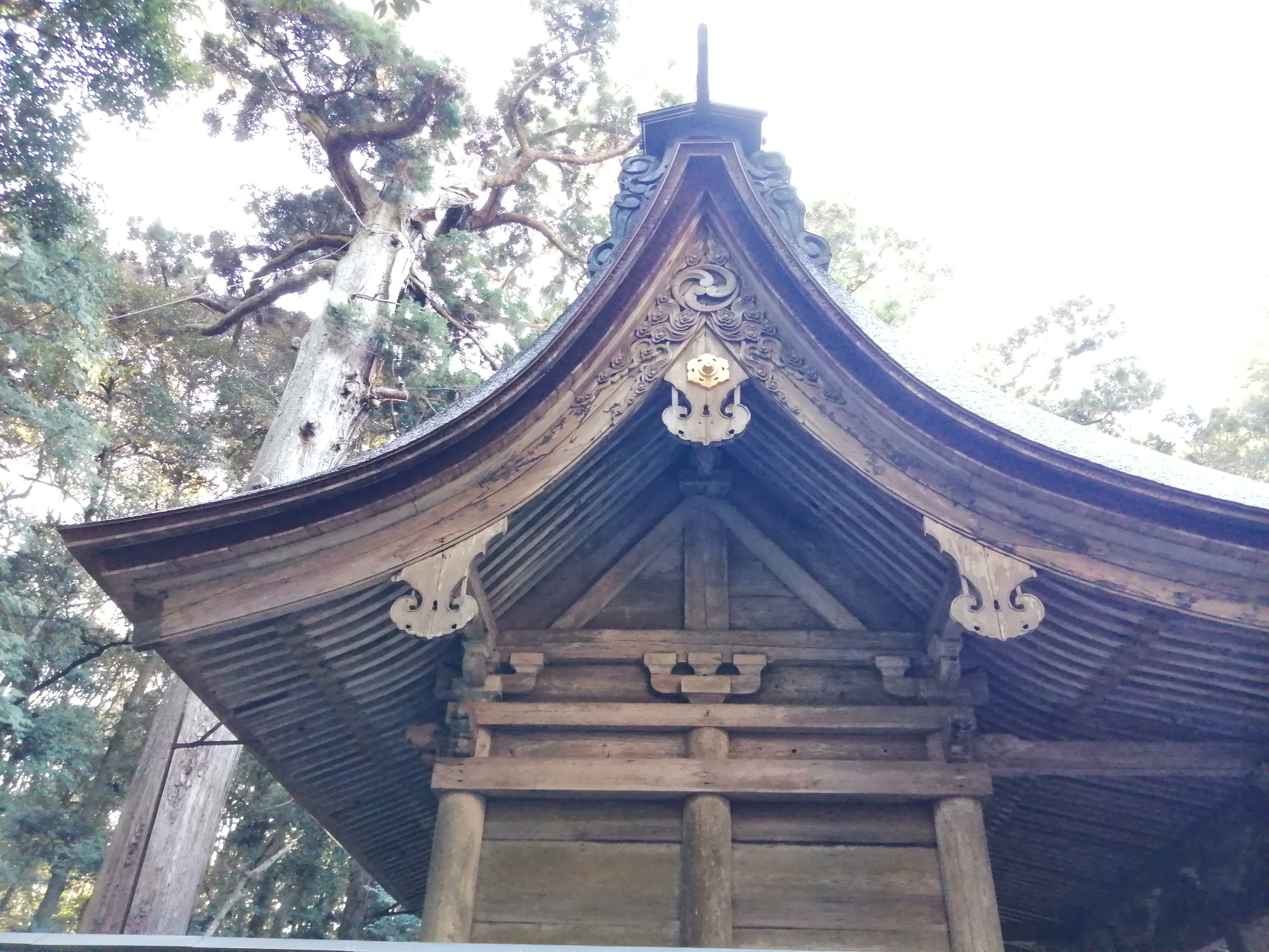 社殿の彫刻と屋根の意匠