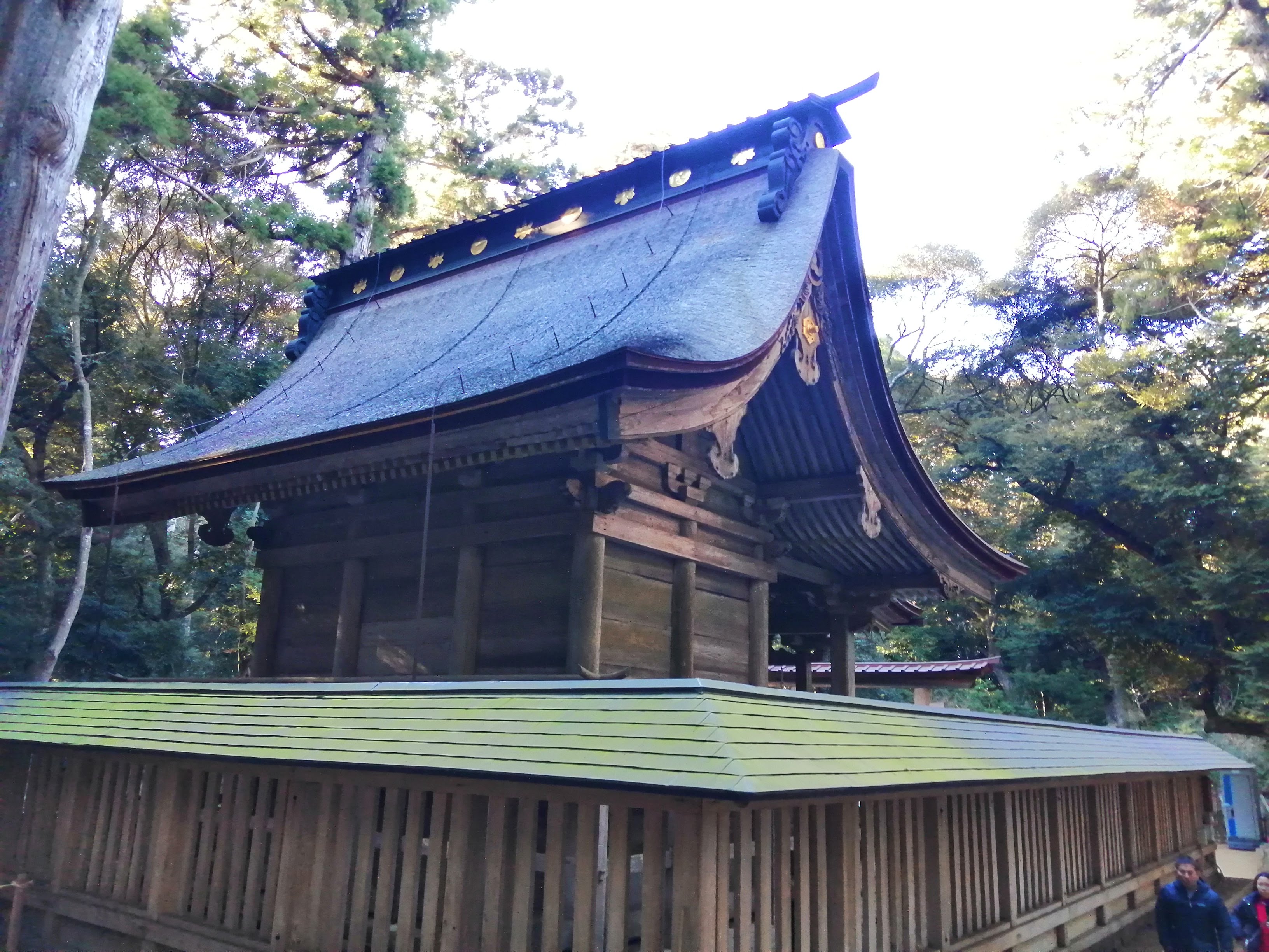 境内の木立に囲まれた社殿