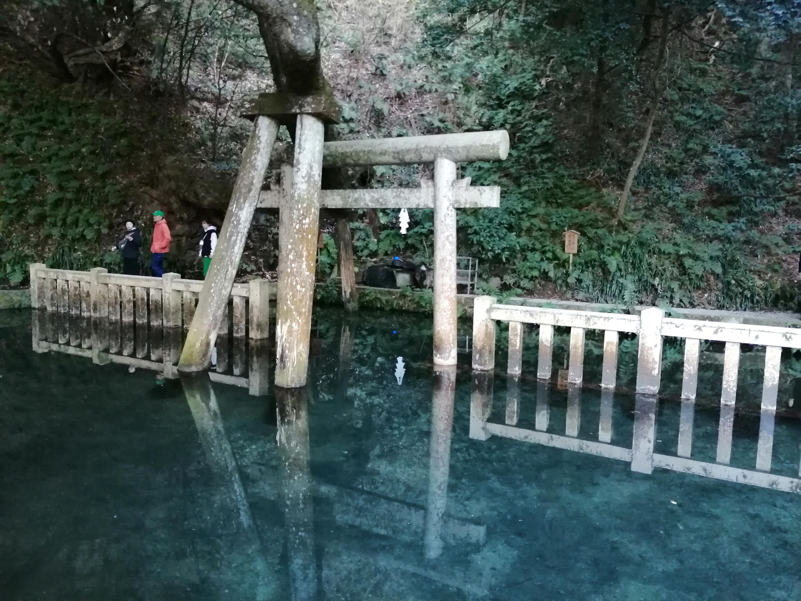 森の中の池に立つ鳥居