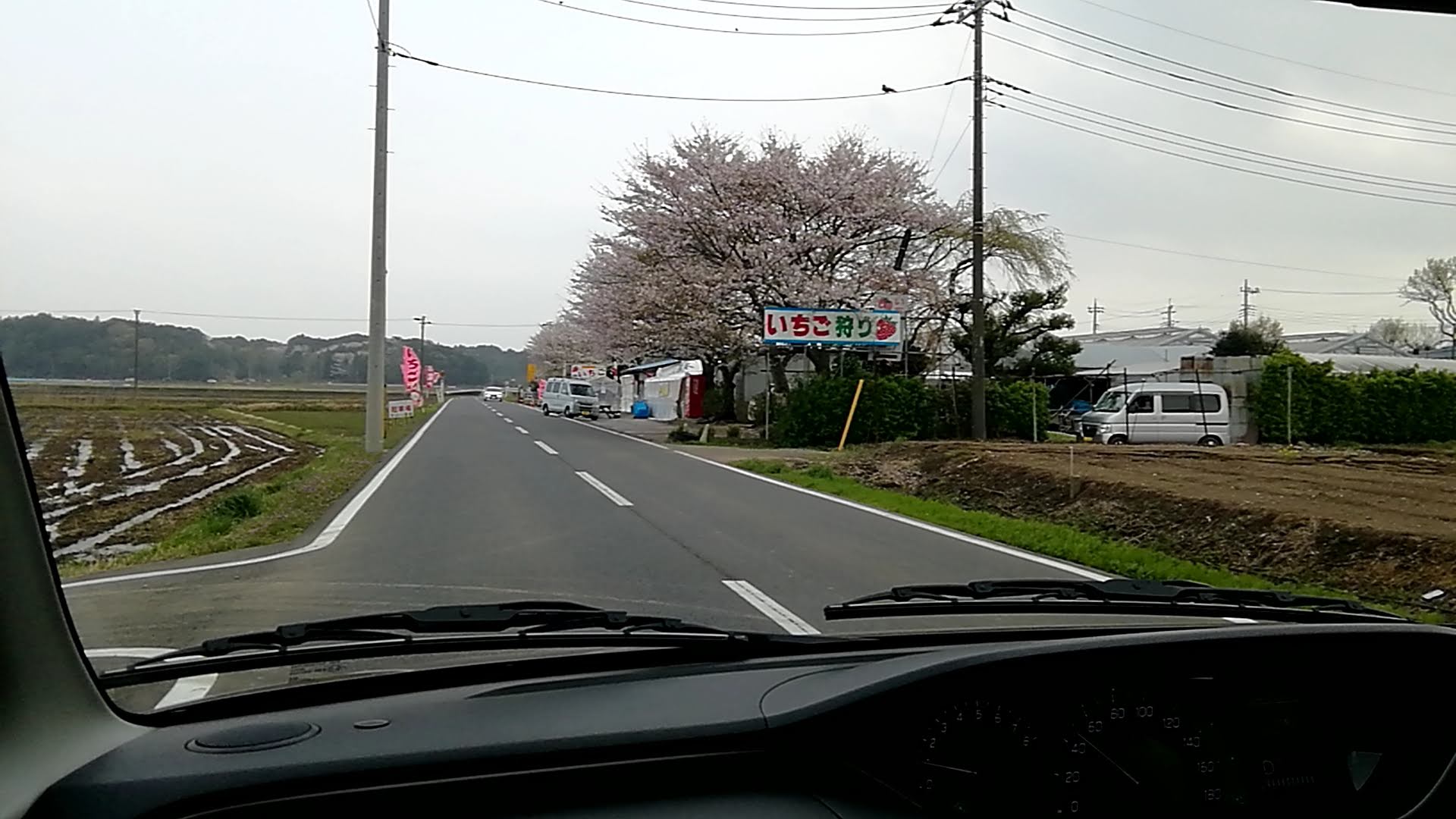 手賀沼周辺道路いちご狩りができるようです.jpg