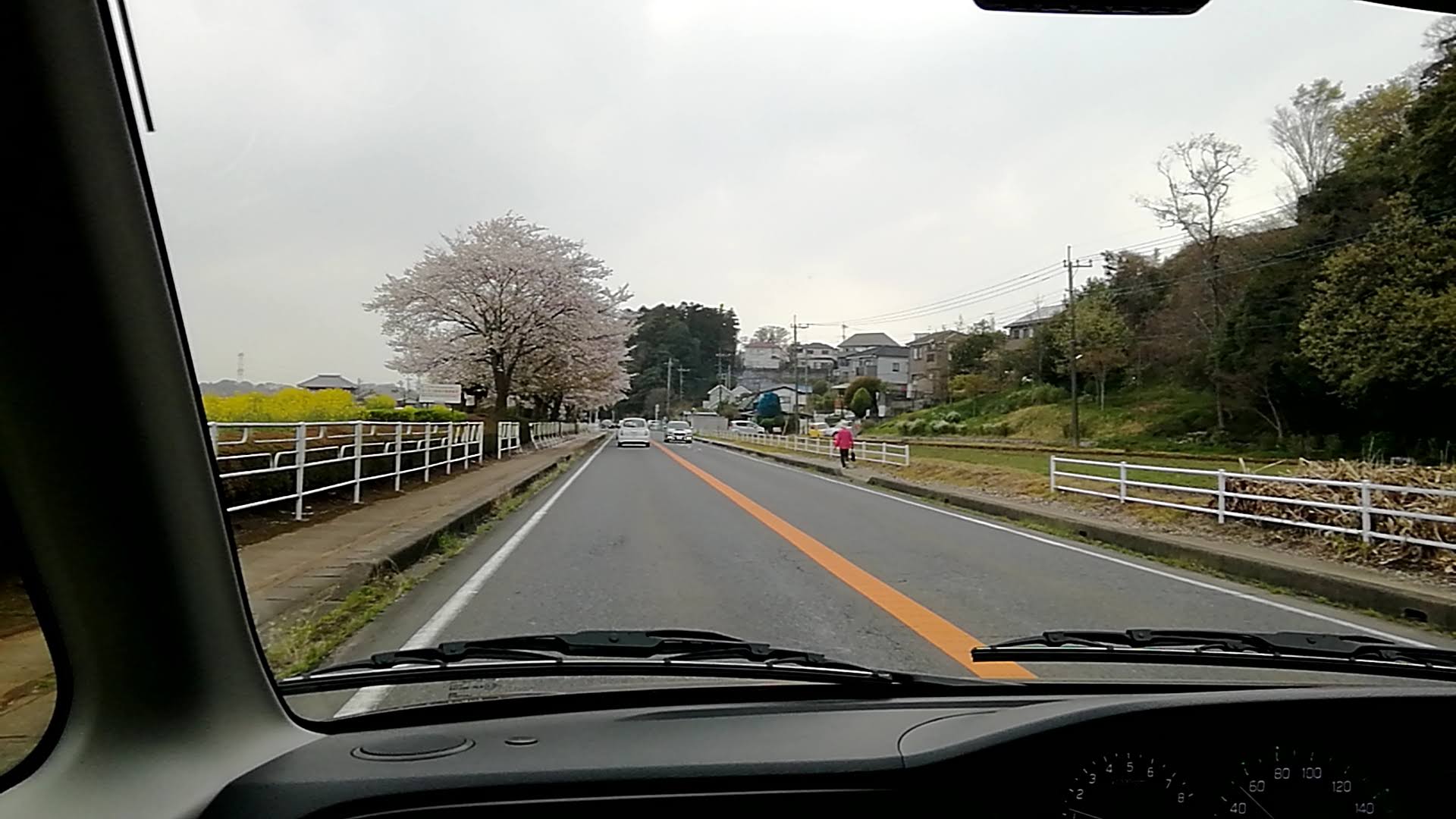 手賀沼周辺道路.jpg