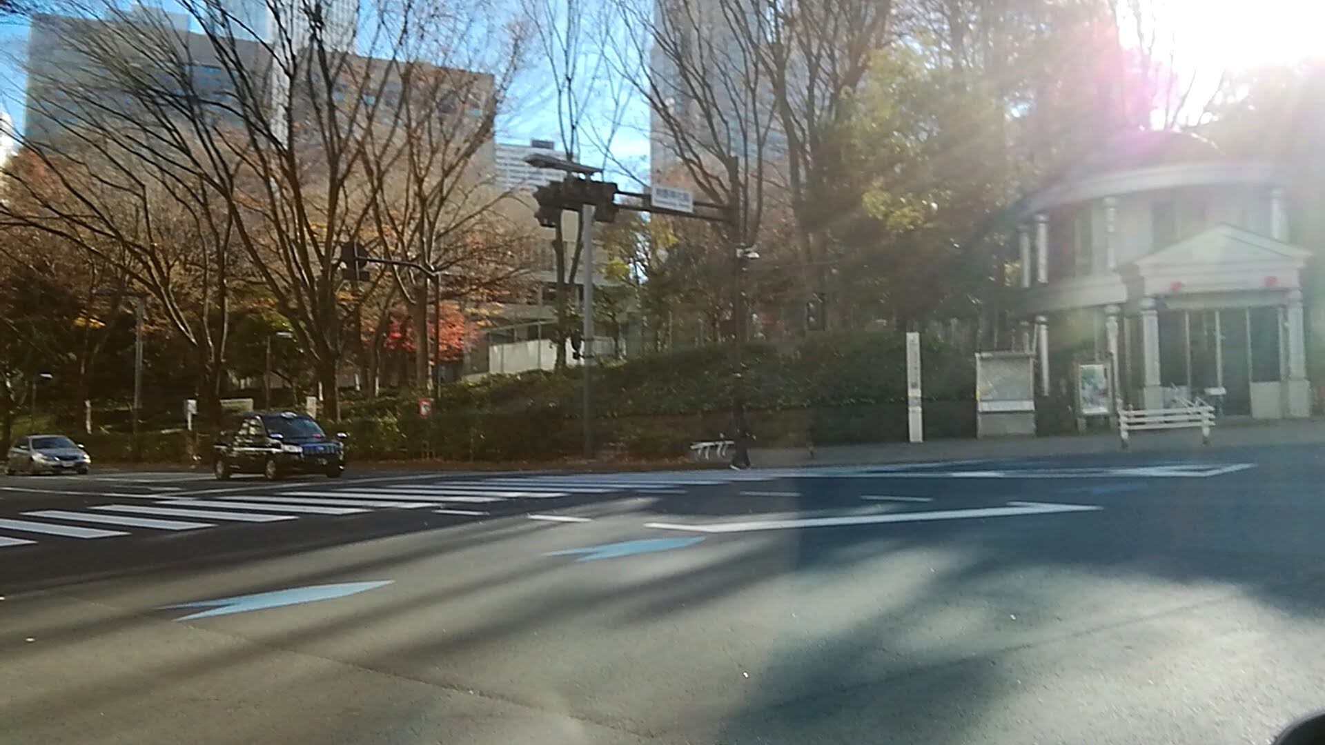 新宿中央公園付近.jpg