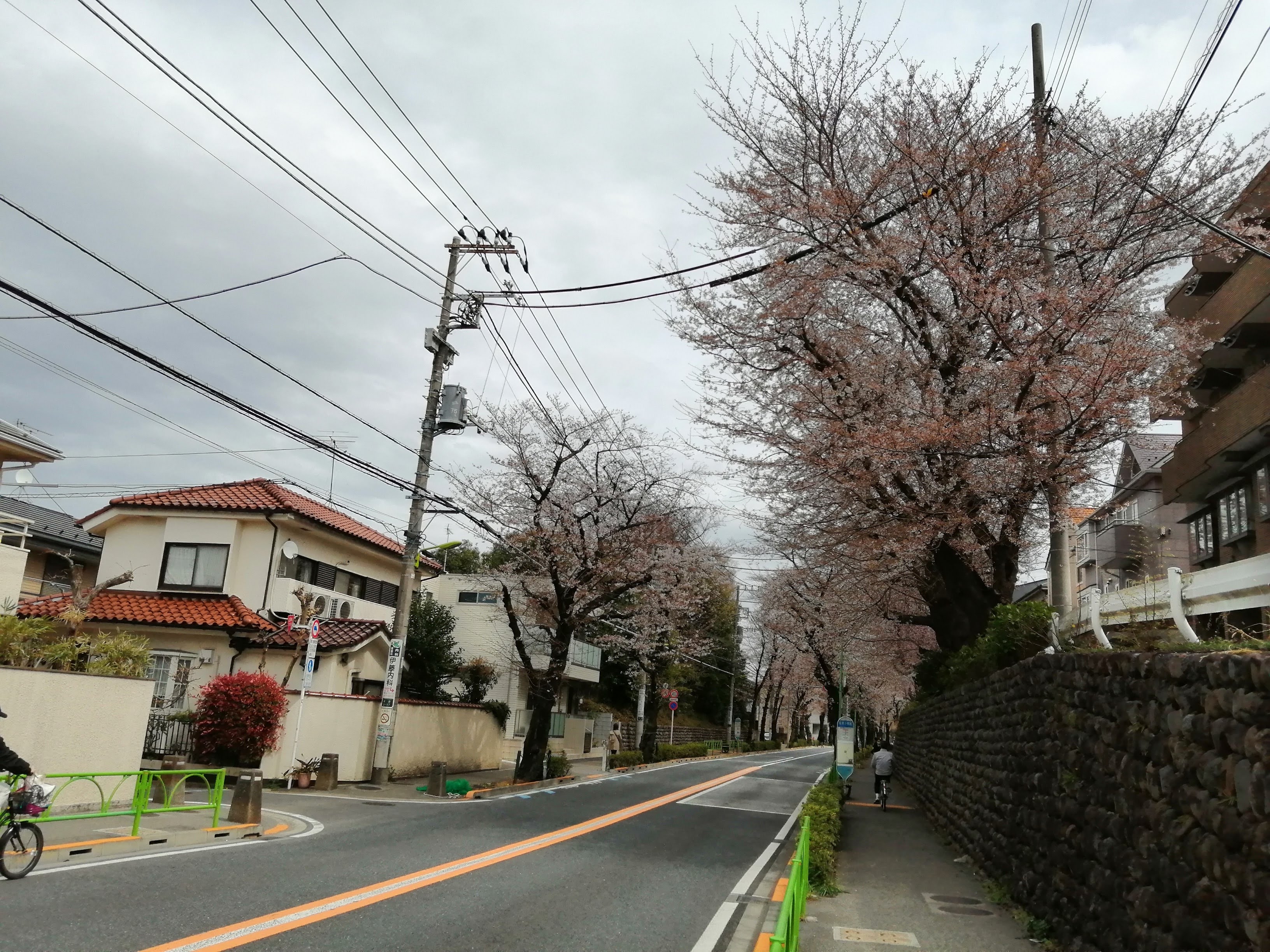 千歳船場井・桜丘.jpg