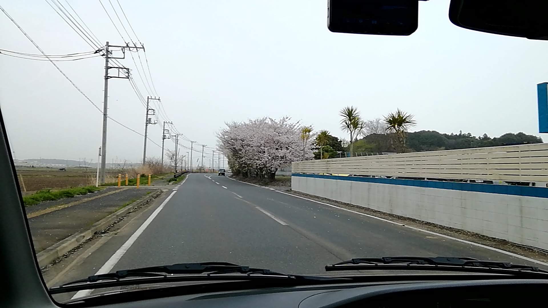 手賀沼周辺道路2.jpg