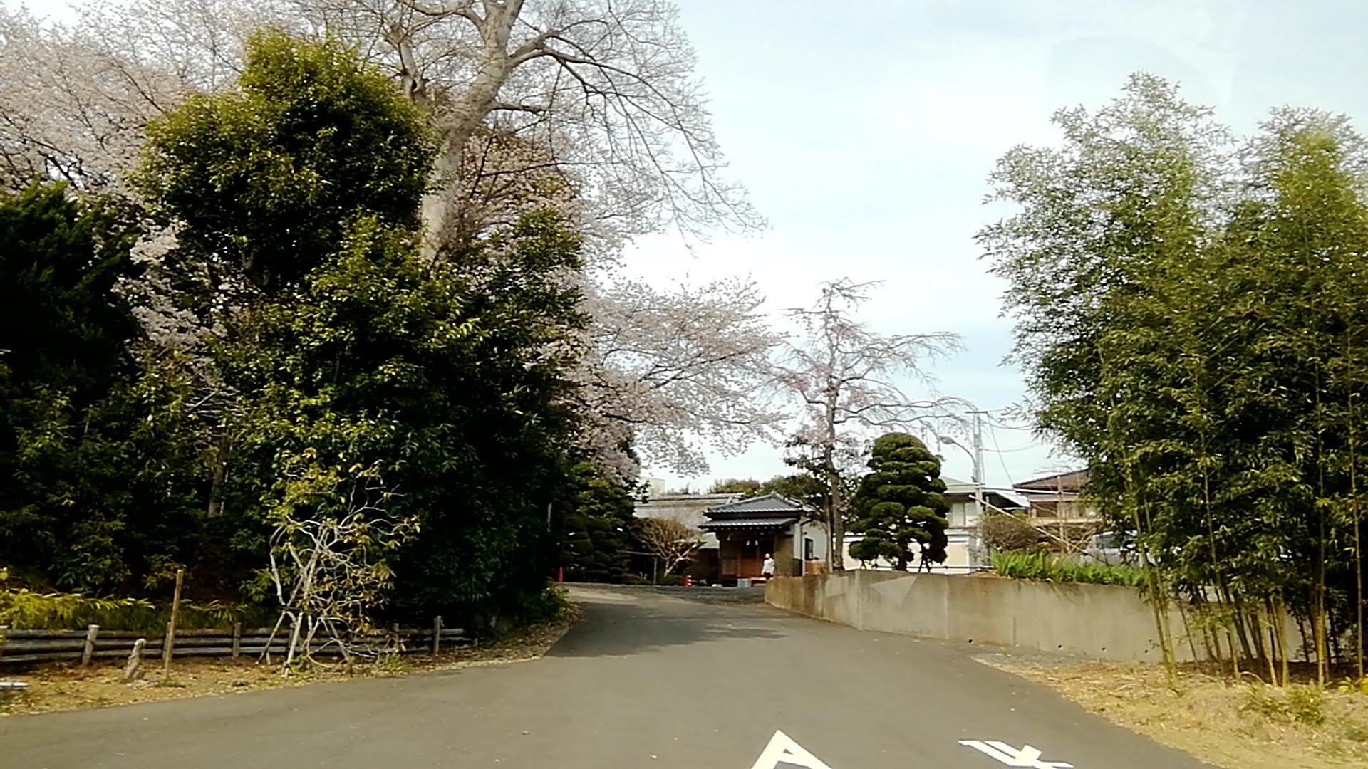 流山市・成顕寺.jpg