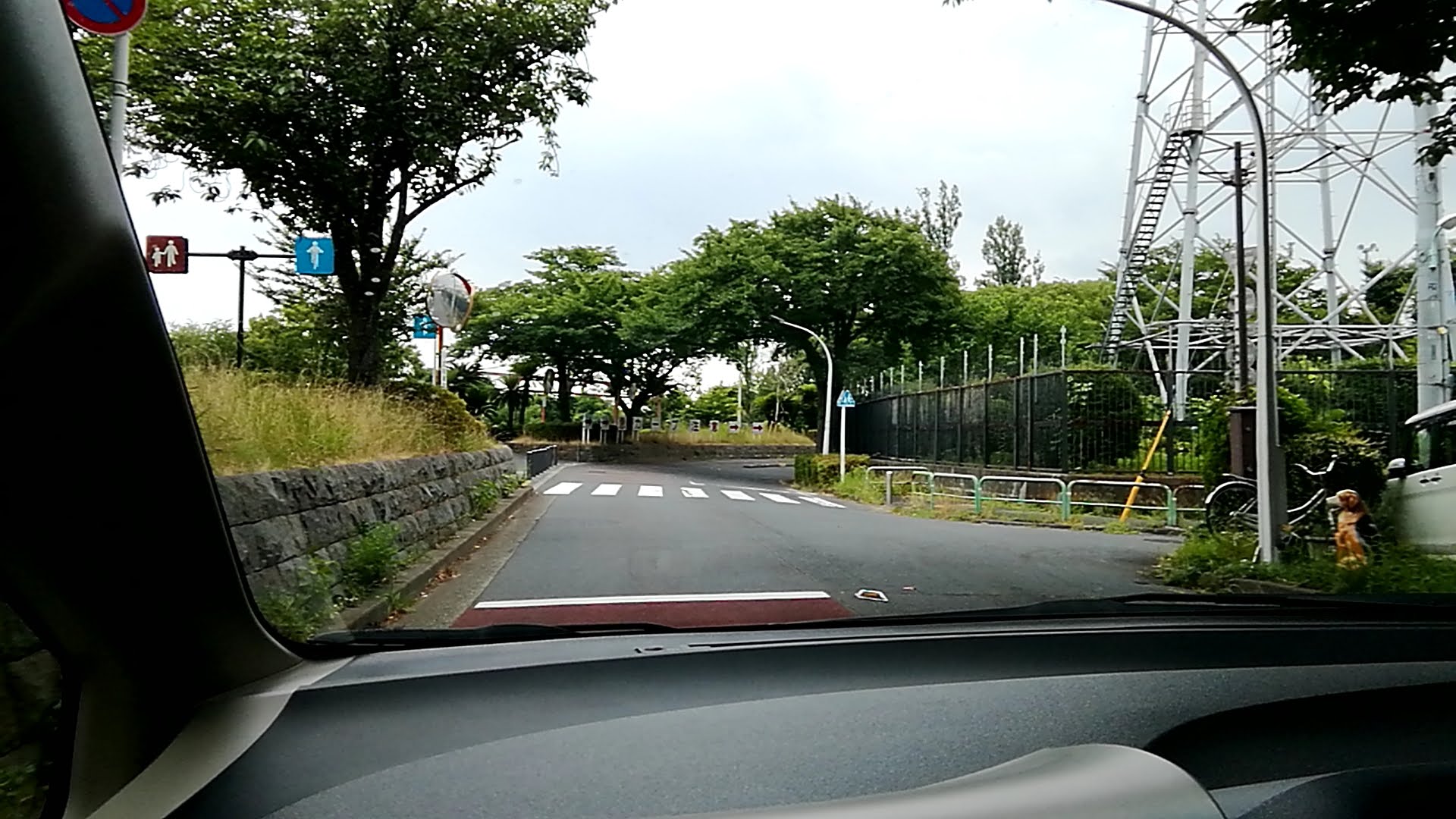 カーブの手前に横断歩道　さあどうします？.jpg