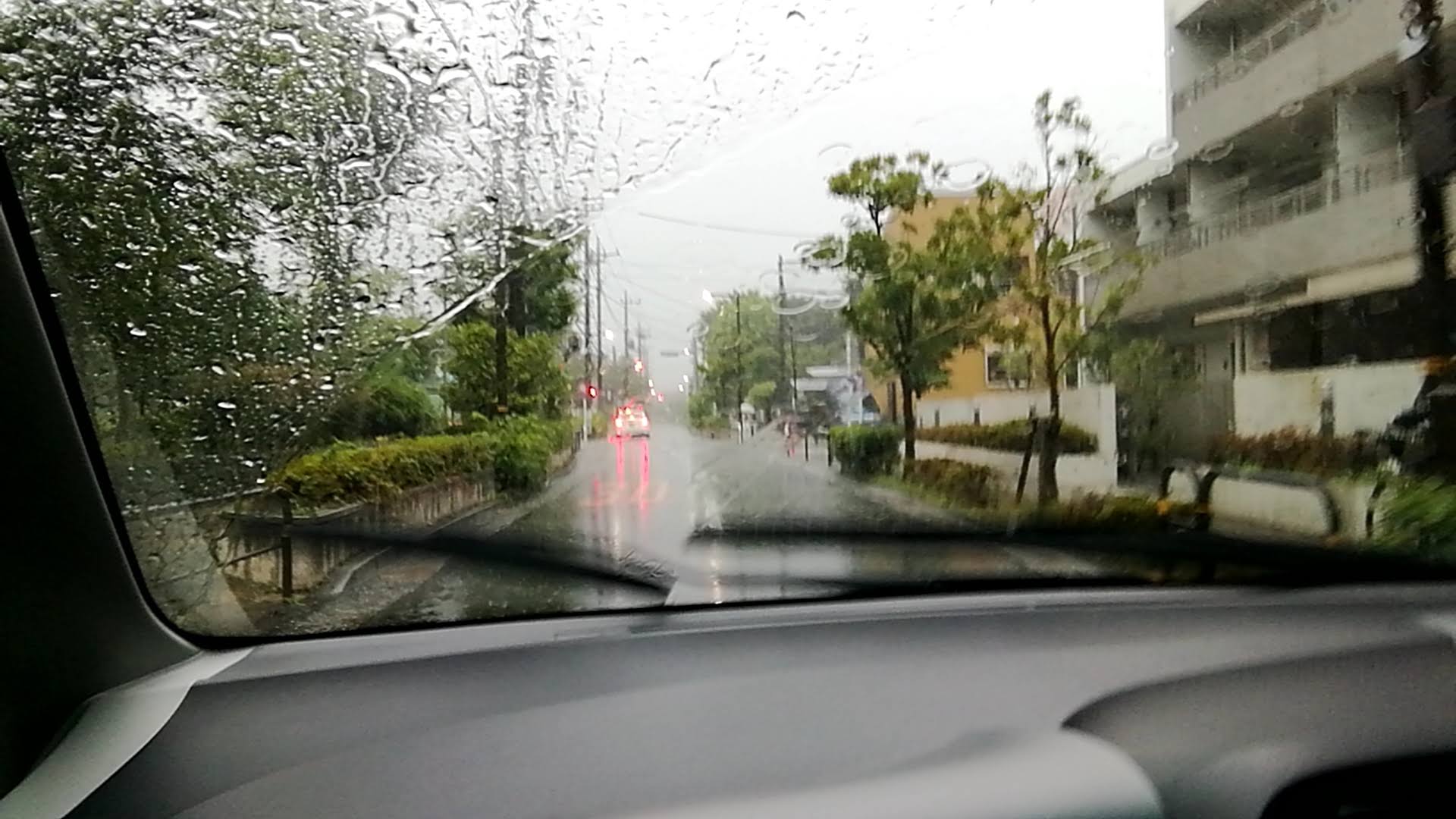 梅雨に逆戻りですね.jpg