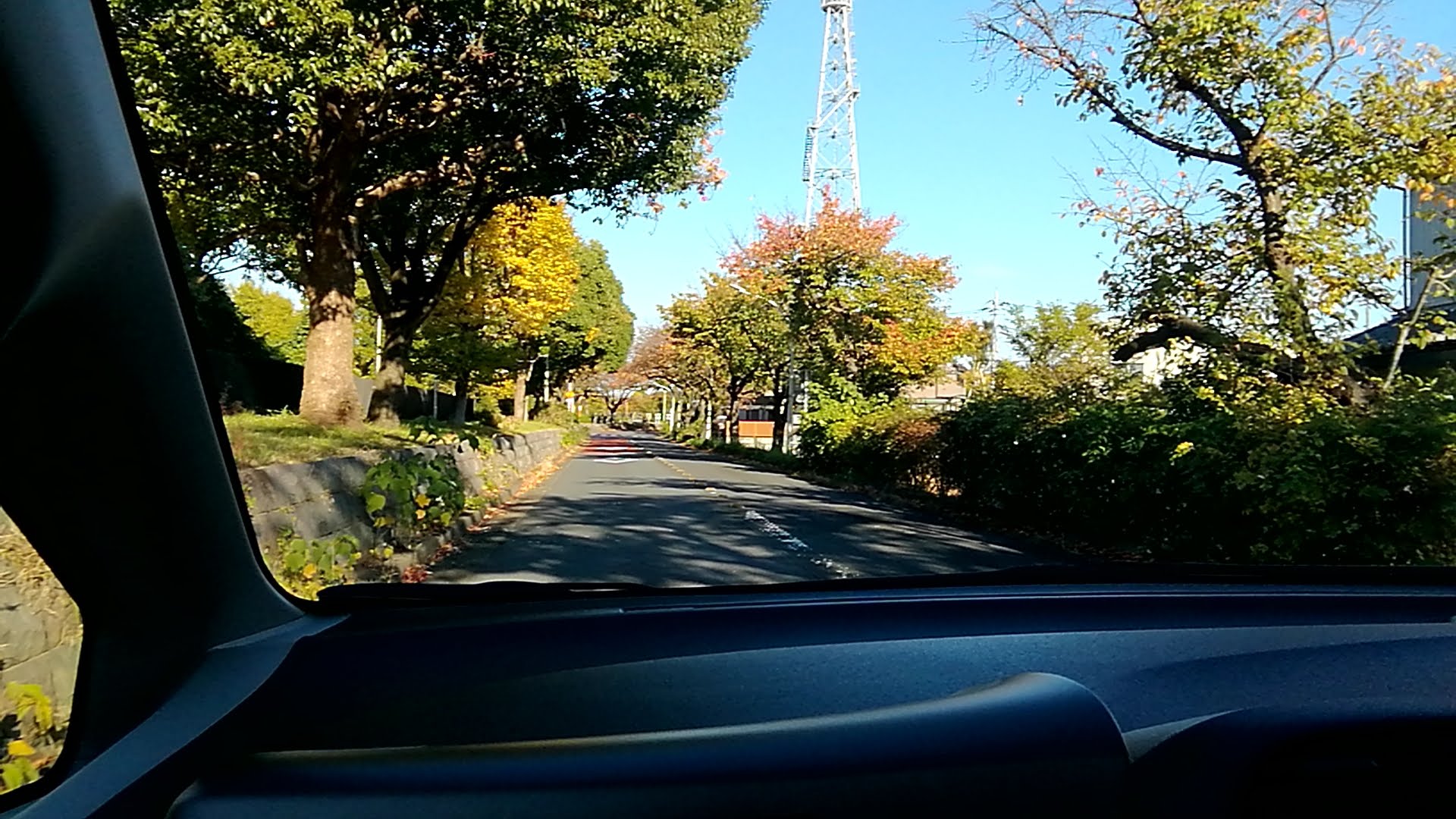 水元公園周辺道路.jpg