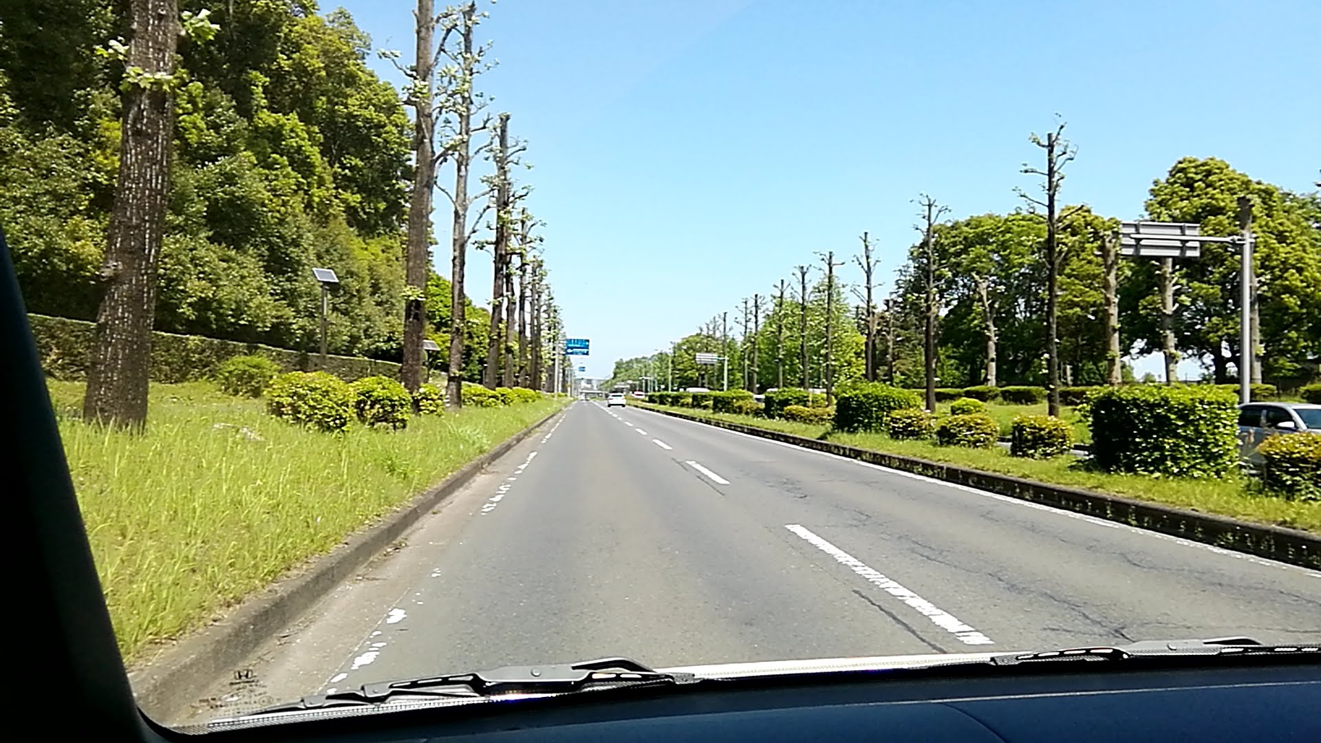 道路脇に続く深い緑が特徴