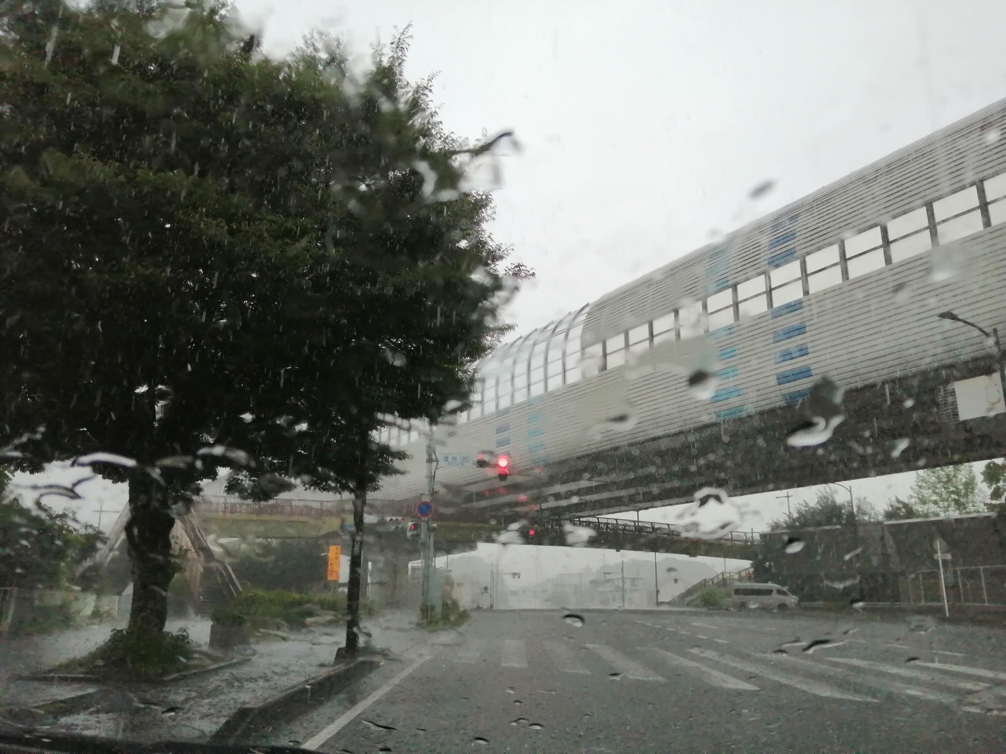 突然の強い雨と前方視界