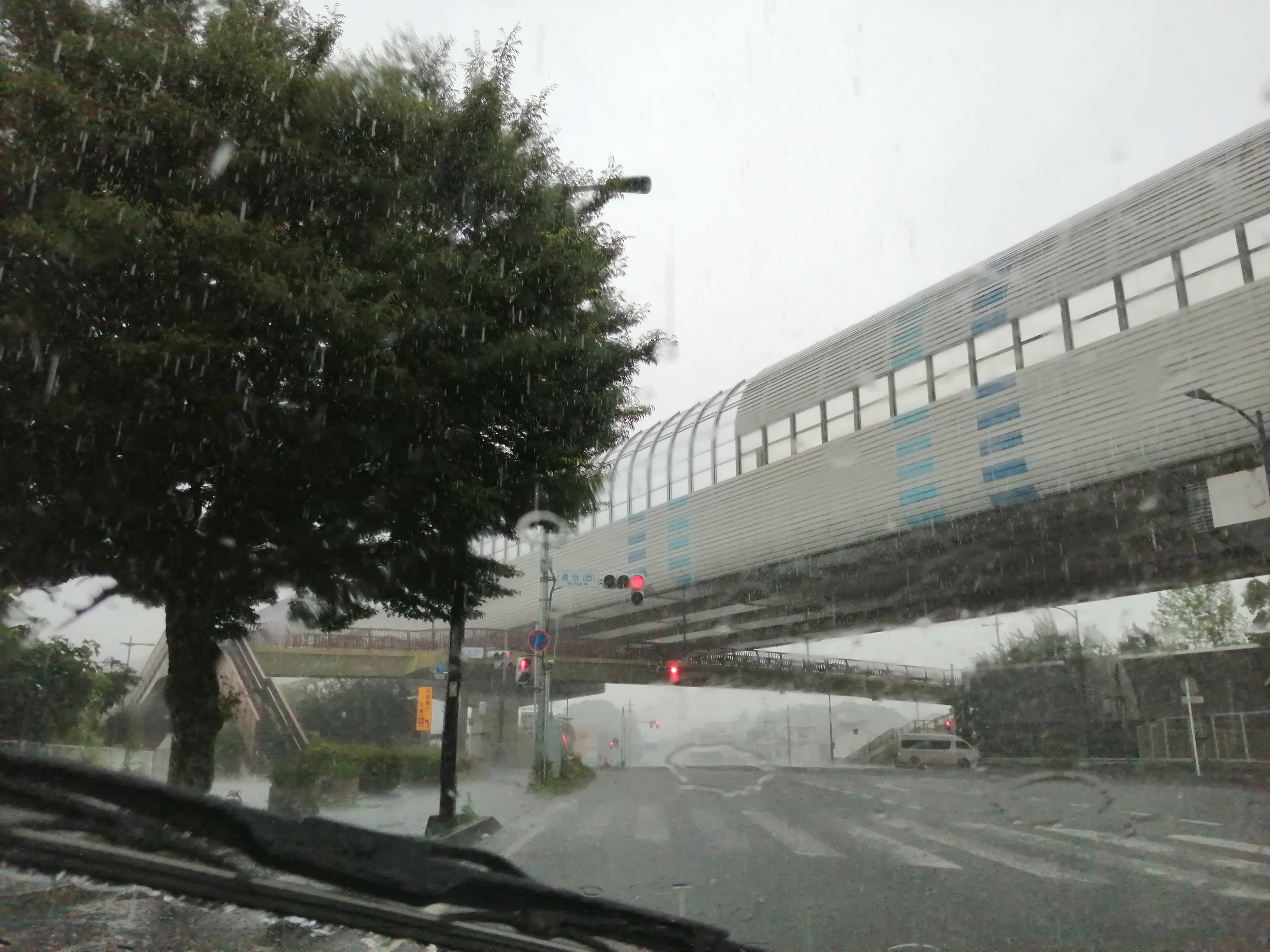 ワイパーが追いつかない雨