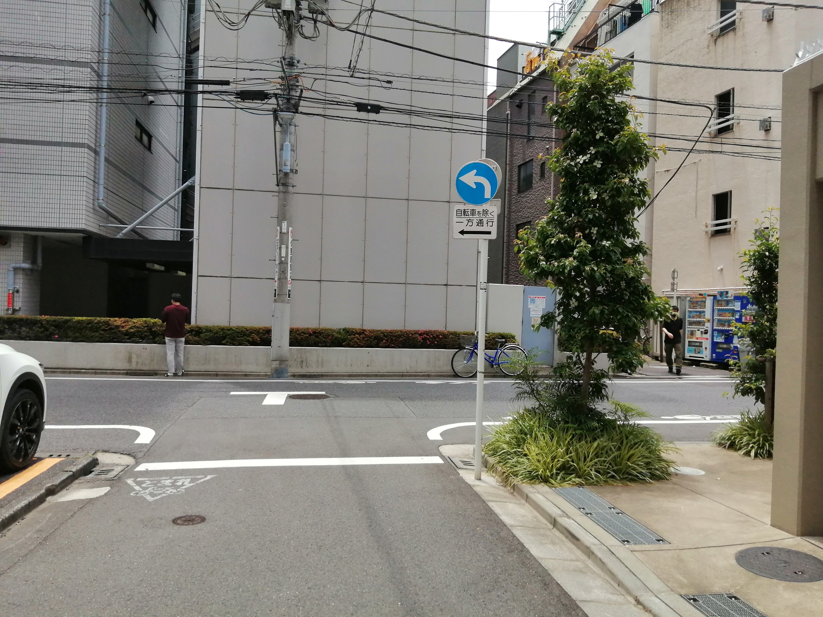 標識のある分岐