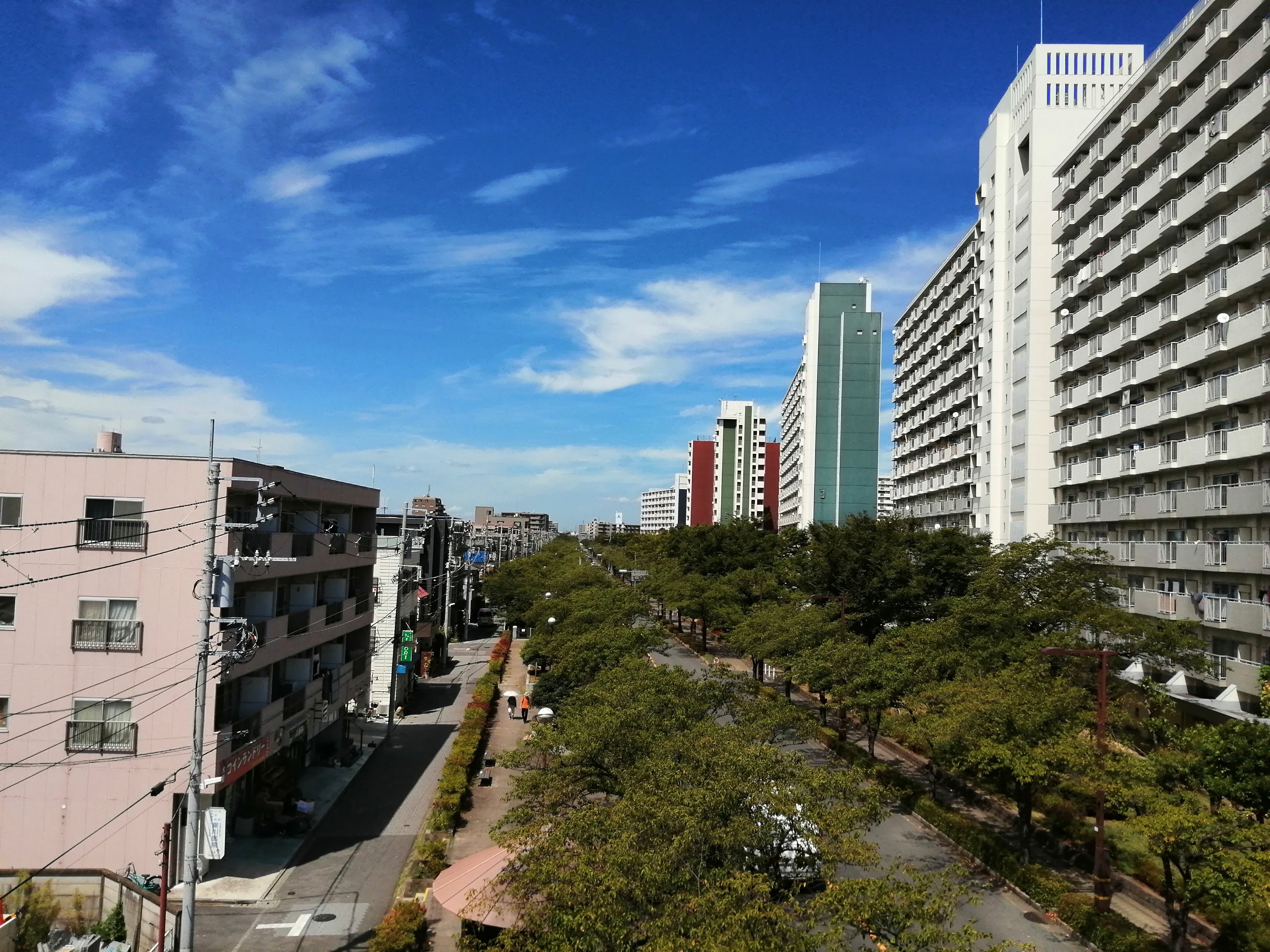 団地沿いの通り