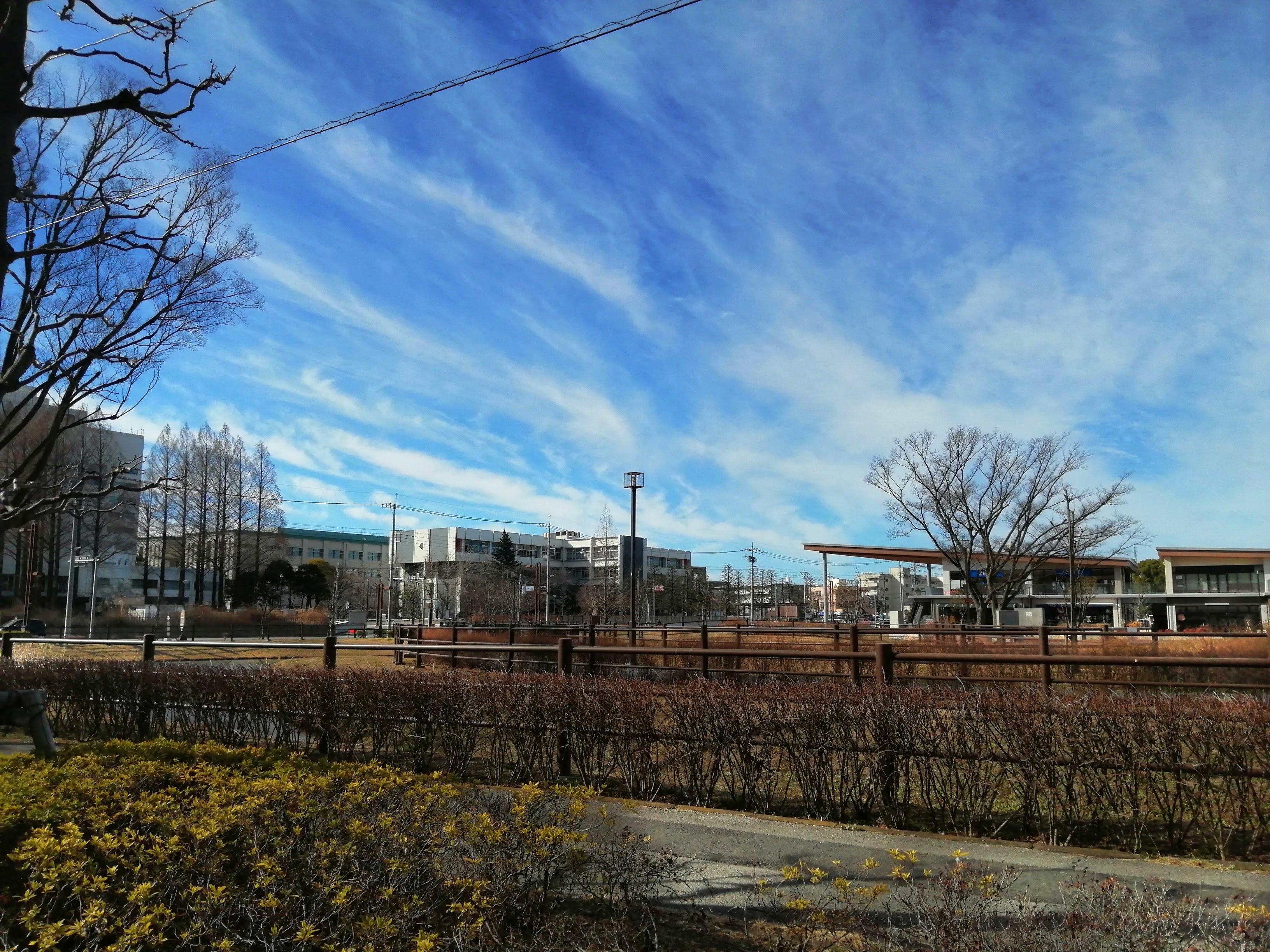 見通しの良い環境