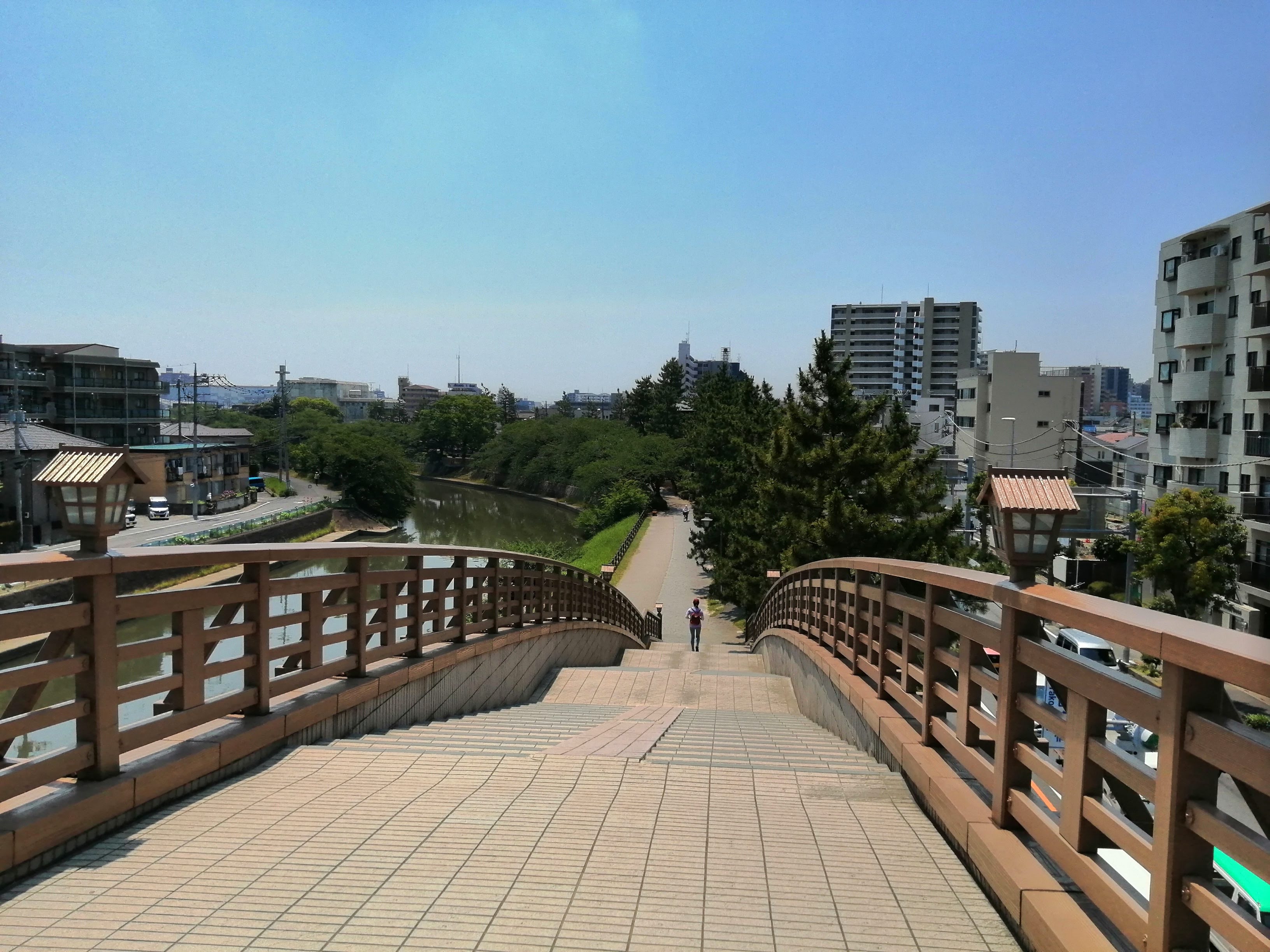 IMG_20240614_105208 - コピー.jpg