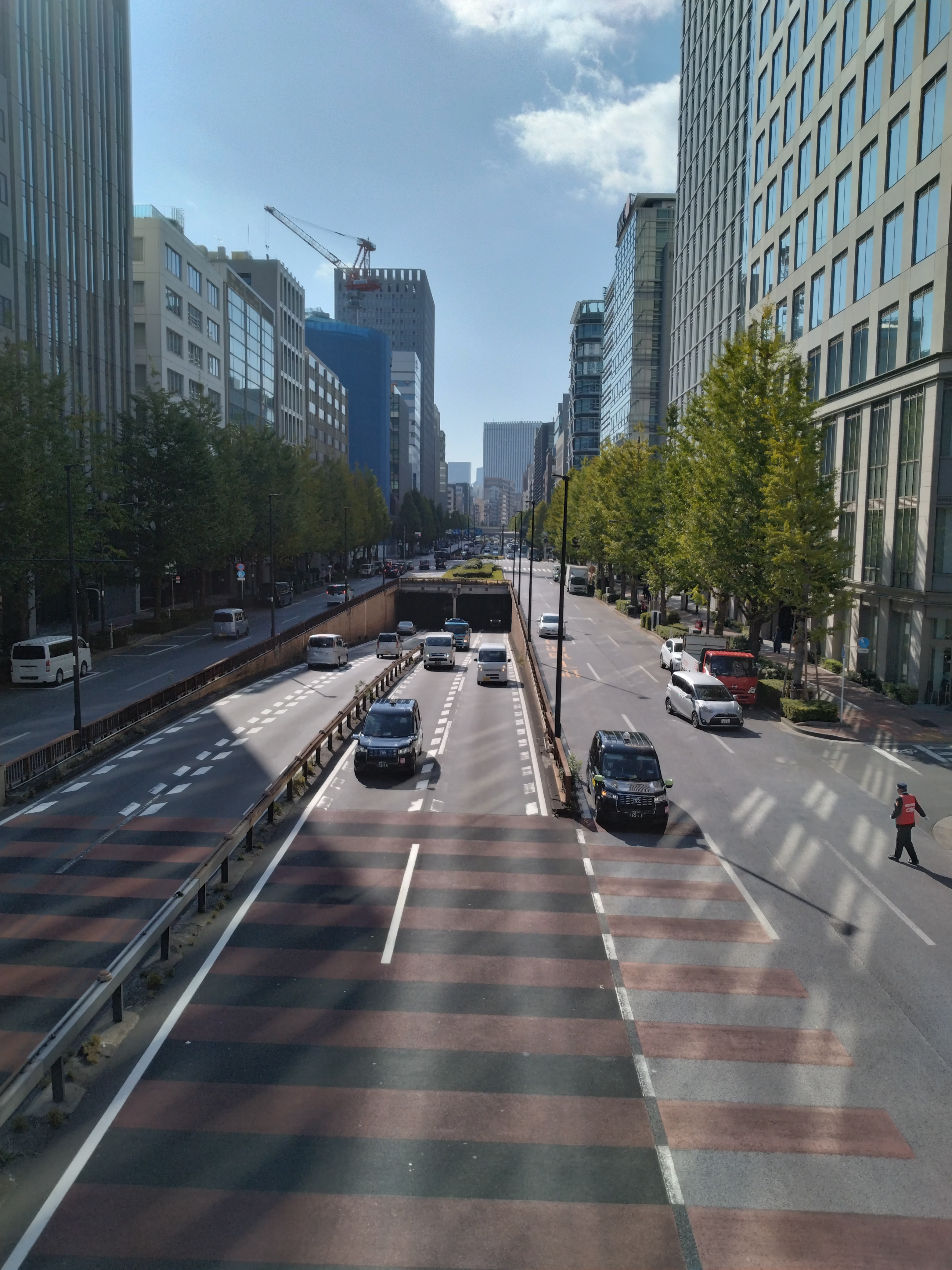 信号と横断歩道が見える場面