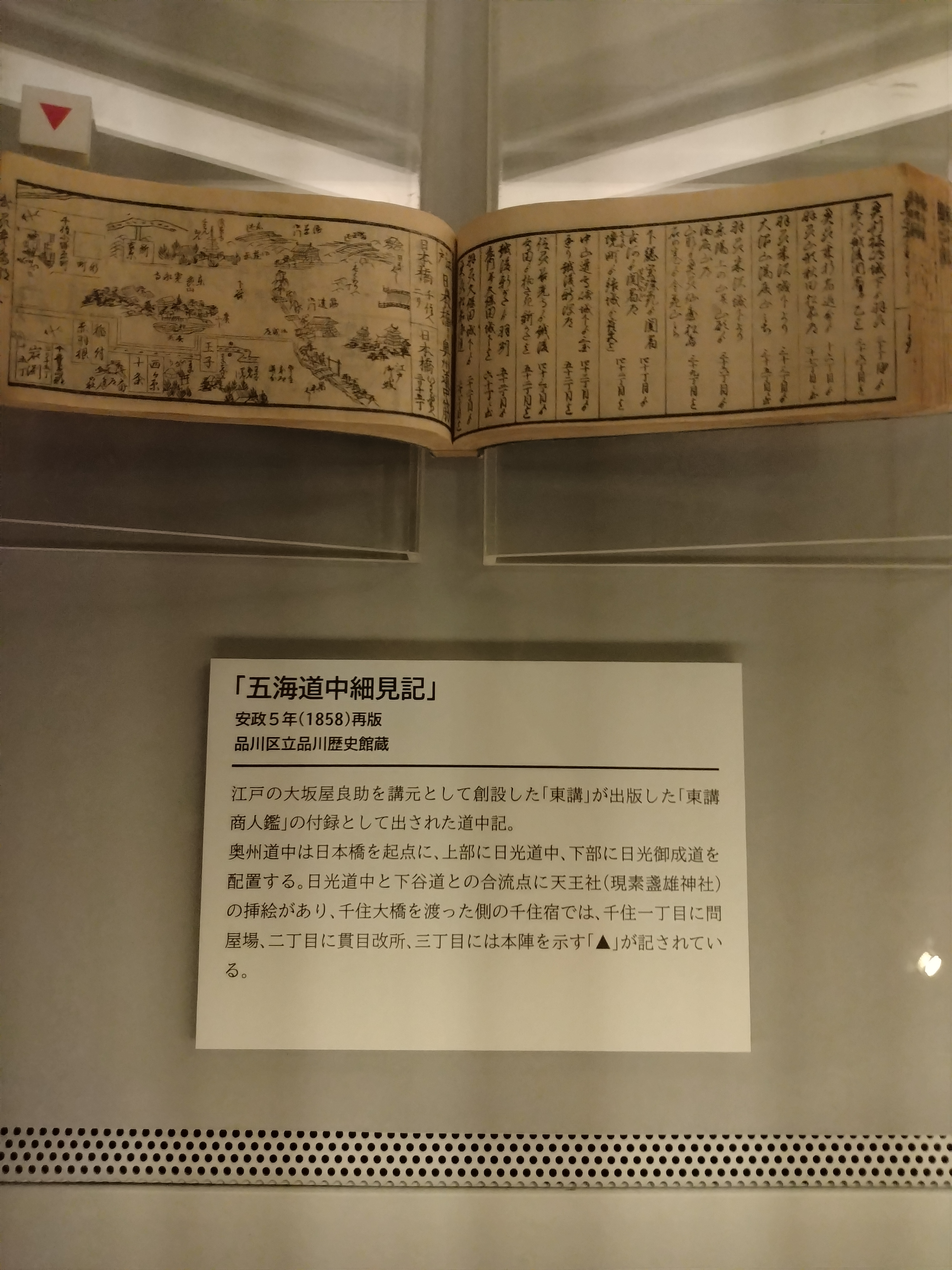 南千住エリアの川沿い道路にある緩やかなカーブ付近を捉えた写真で、カーブ手前の減速とライン取りを意識できるシーンです。