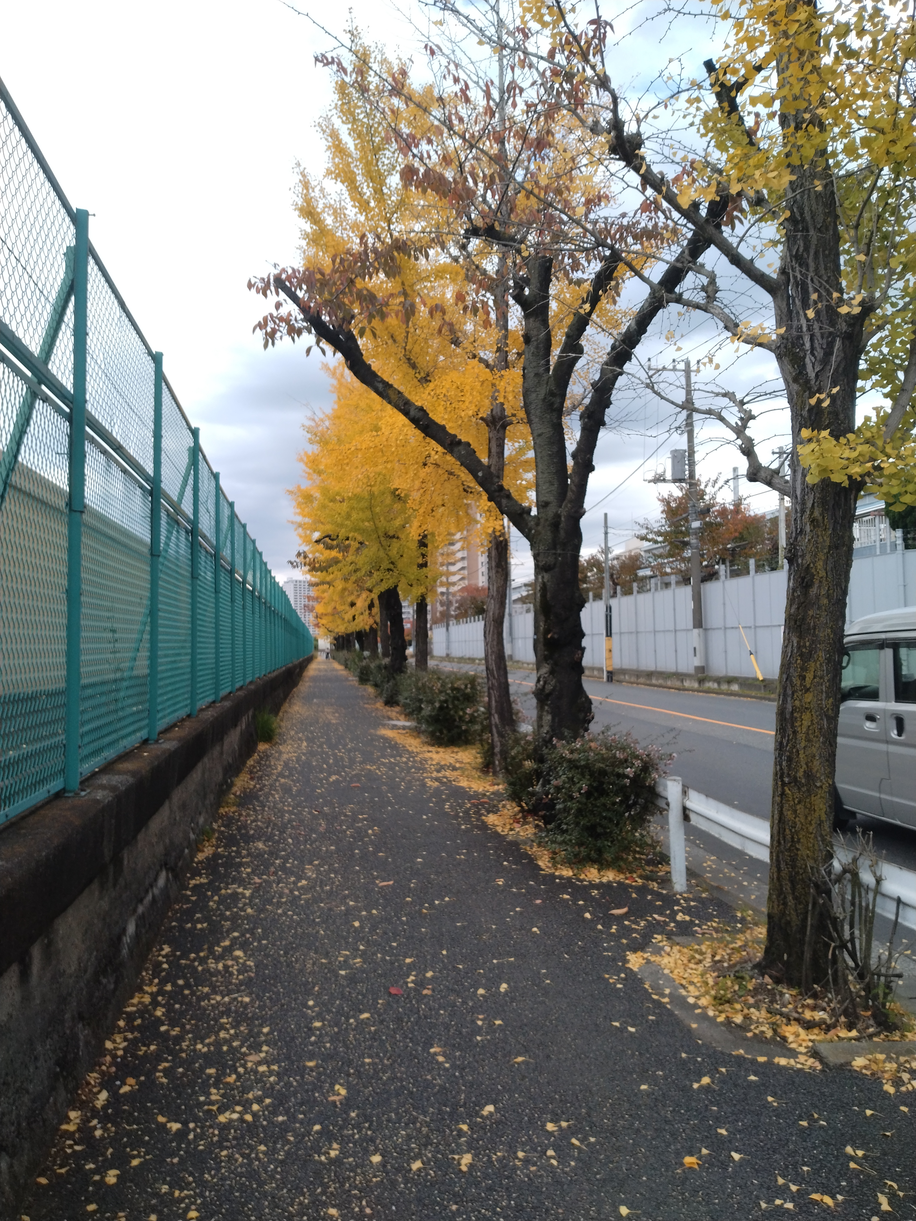 南千住エリアの幹線道路と歩道の境界を捉えた一枚で、歩行者と車の動線の違いが分かりやすい写真です。