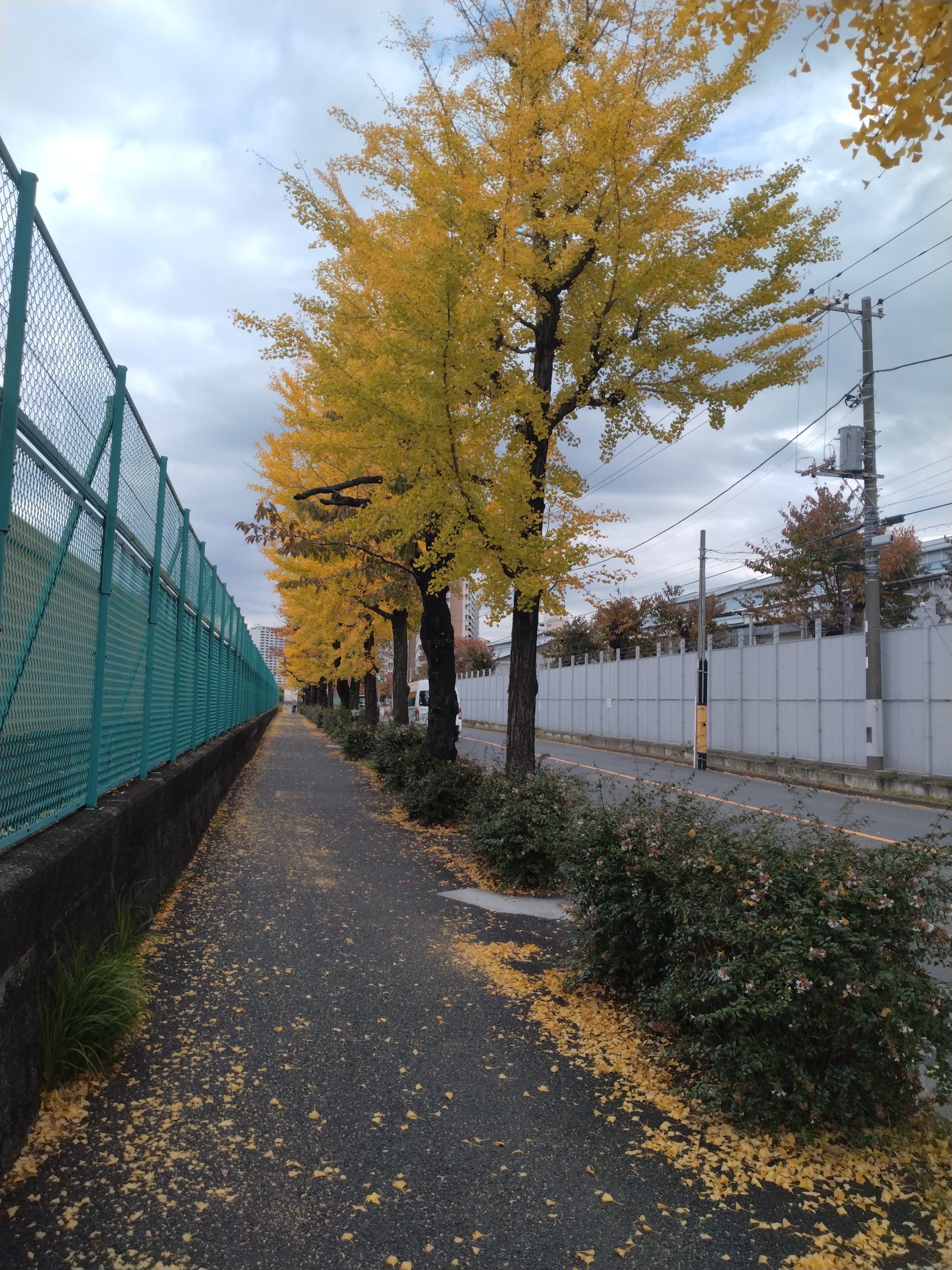 南千住エリアの幹線道路直線区間を写した一枚で、車線変更や進路変更のタイミングを考えやすい場面です。