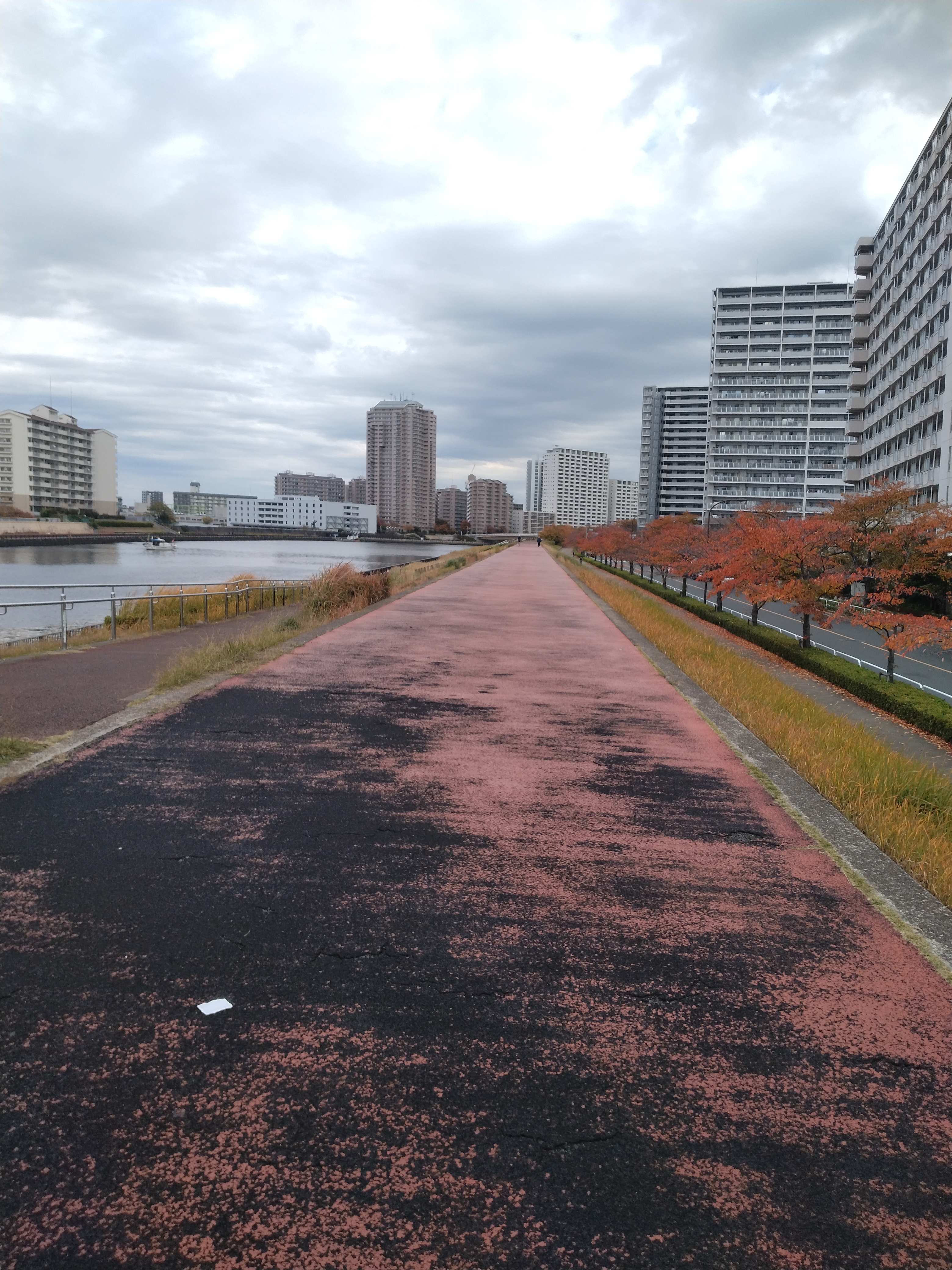 南千住エリアの交差点周辺を写した一枚で、歩行者や自転車が増える時間帯を意識したい場面をイメージできます。