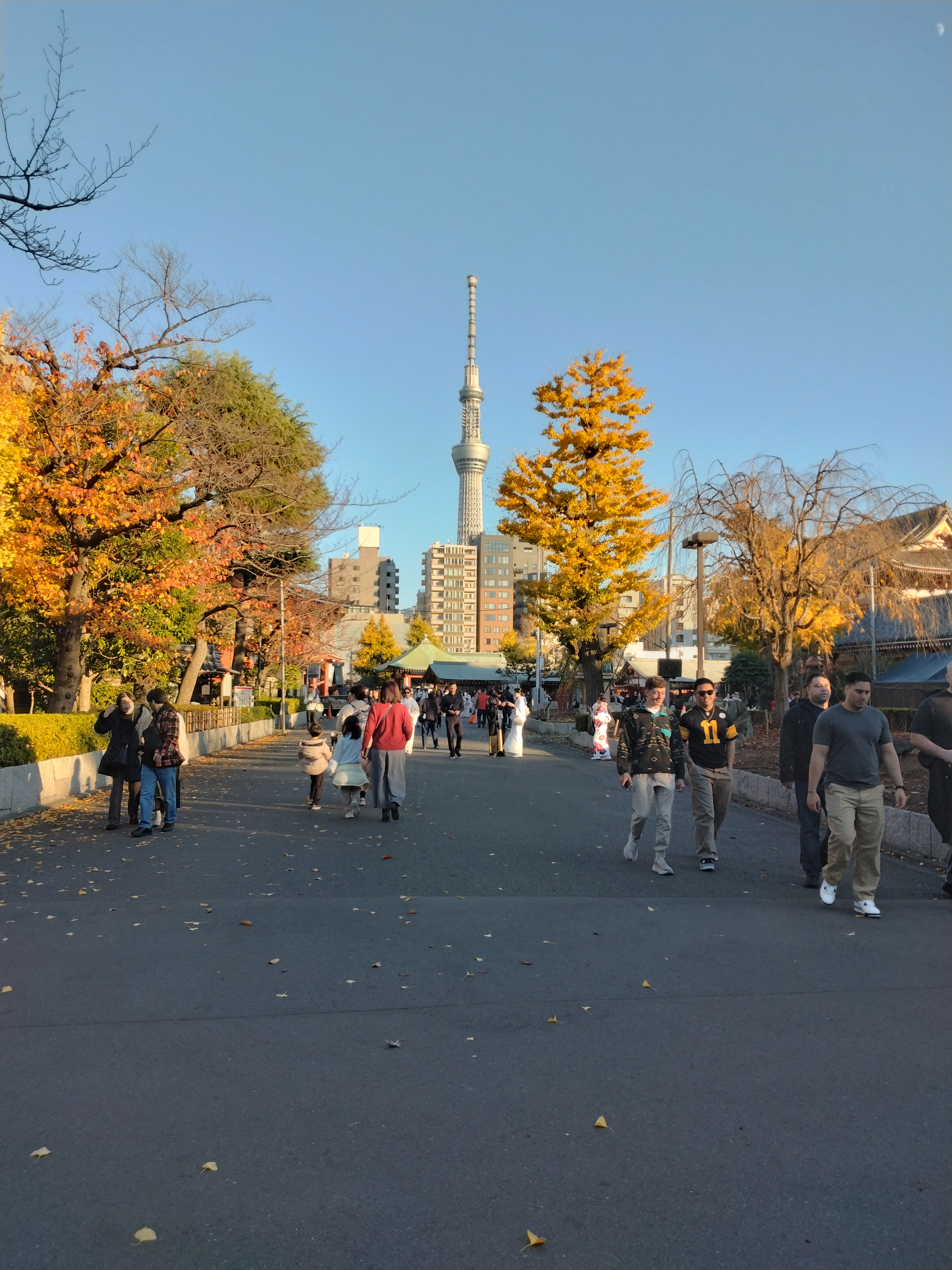 市ヶ谷JICAセンター前の歩道と植栽の様子です。