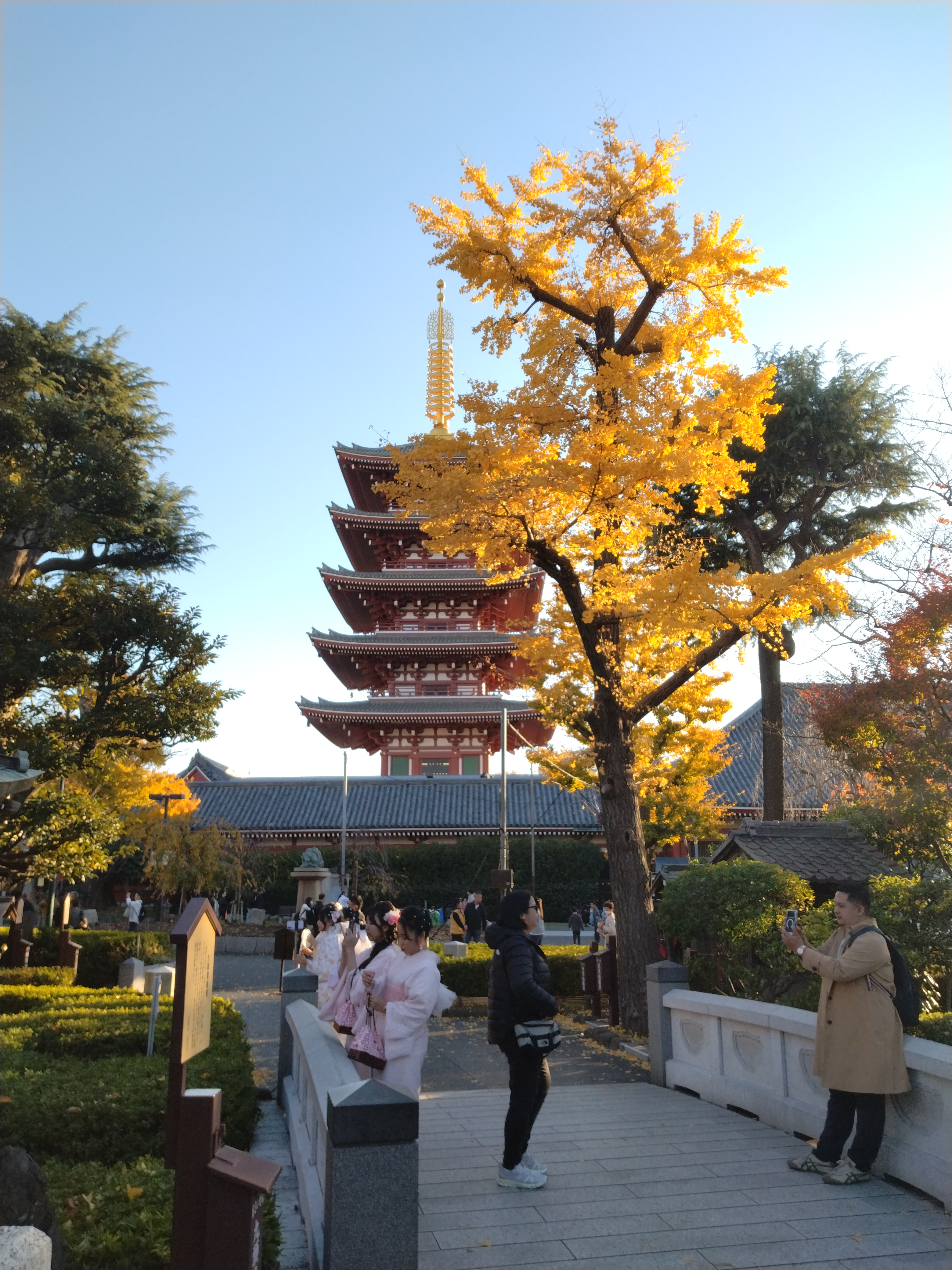 国際協力の展示パネルの様子です。