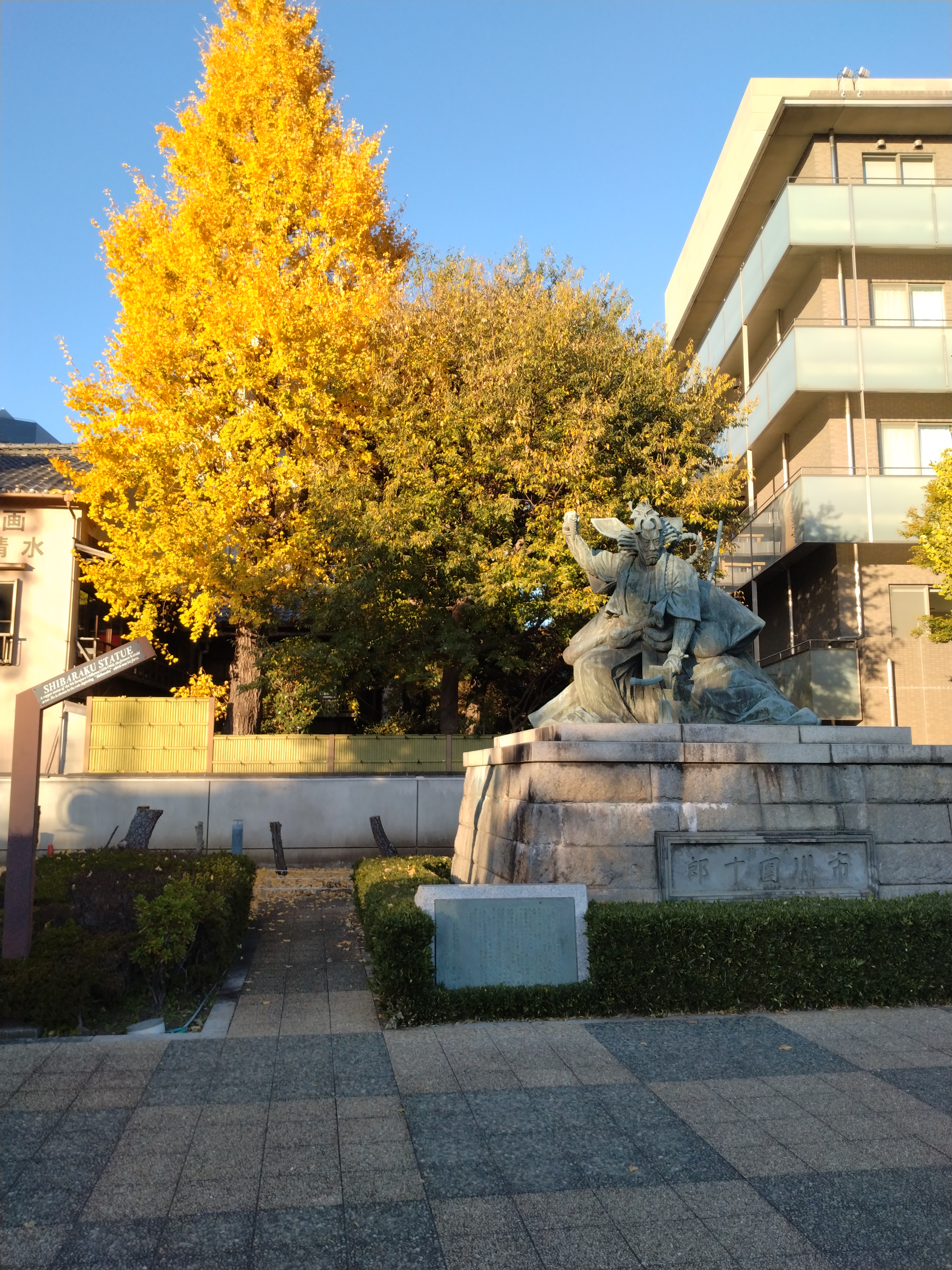 国際協力を説明する展示物です。