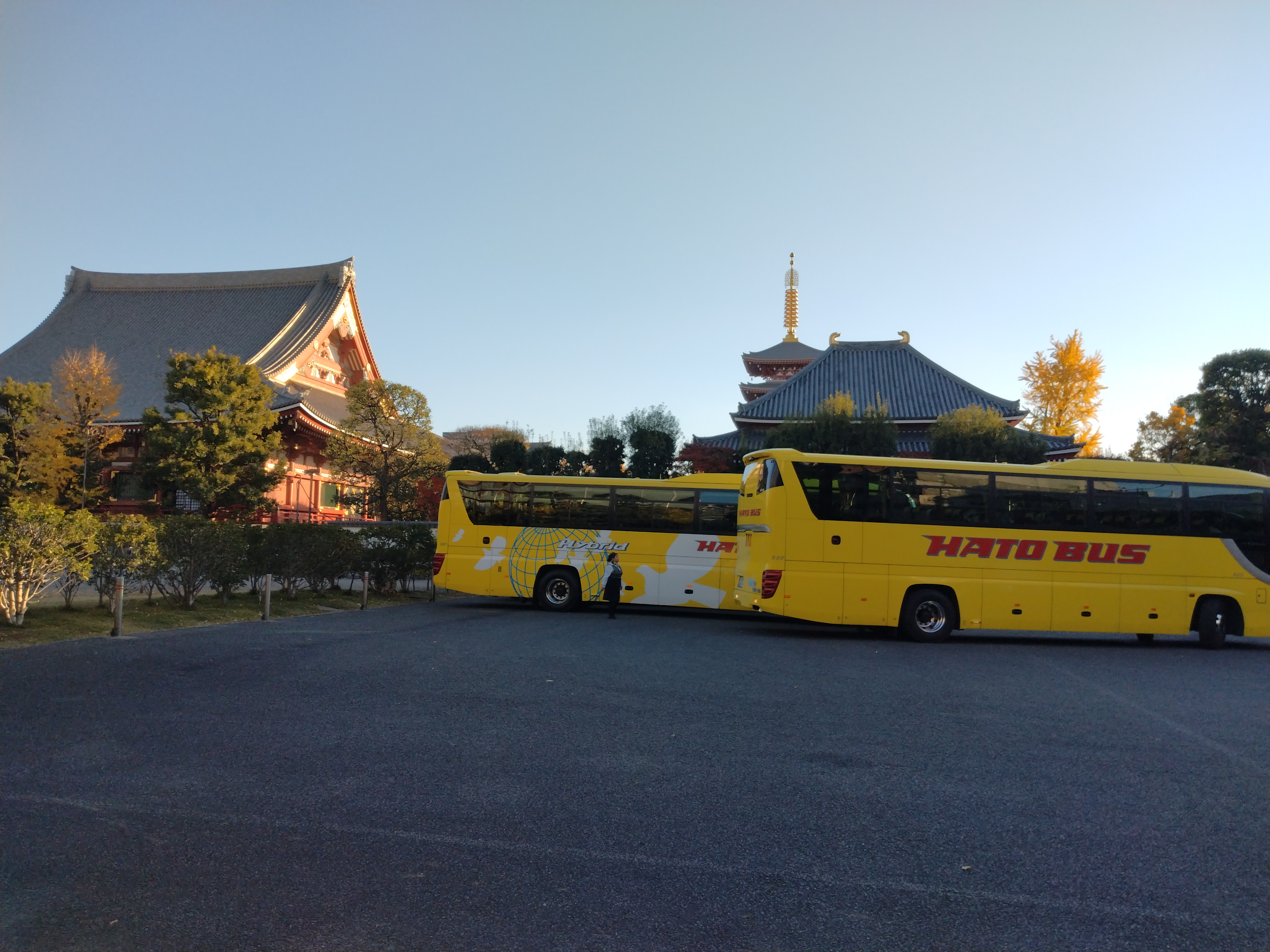 展示案内の一部です。